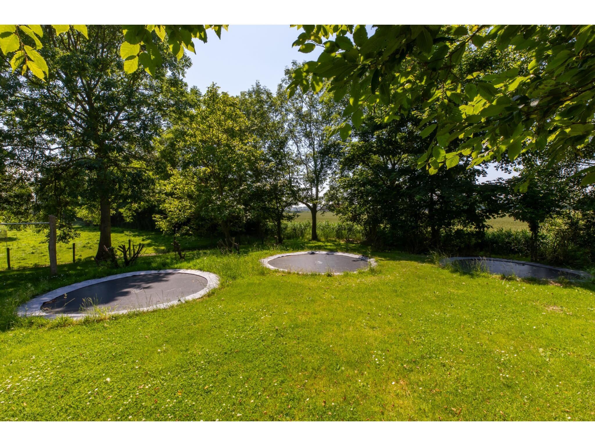 De tuin van Appartement - Kon Emmaweg 6  beneden app in Vrouwenpolder