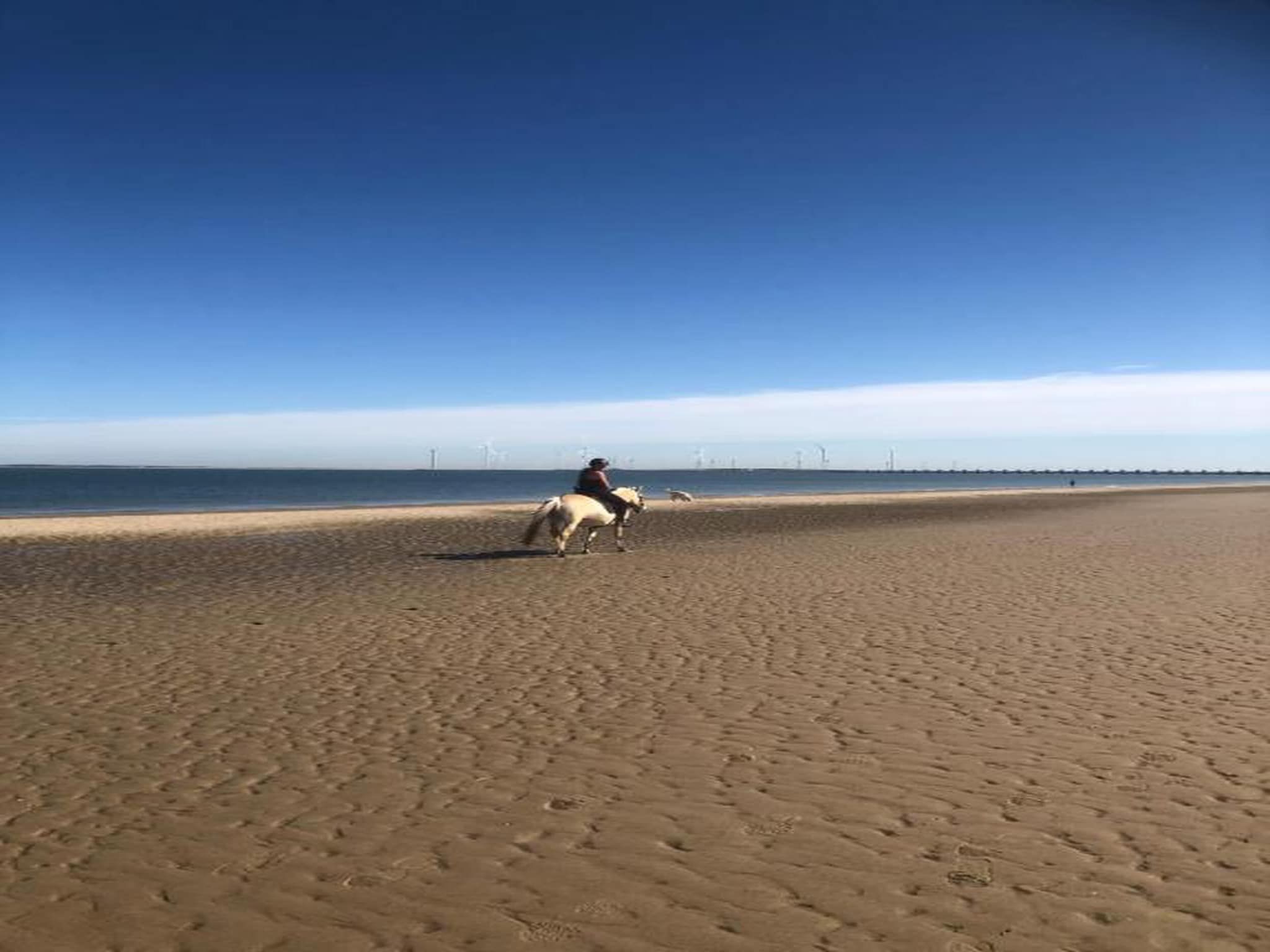 Appartement - Kon Emmaweg 6  beneden app in Vrouwenpolder - Foto 35 van 40