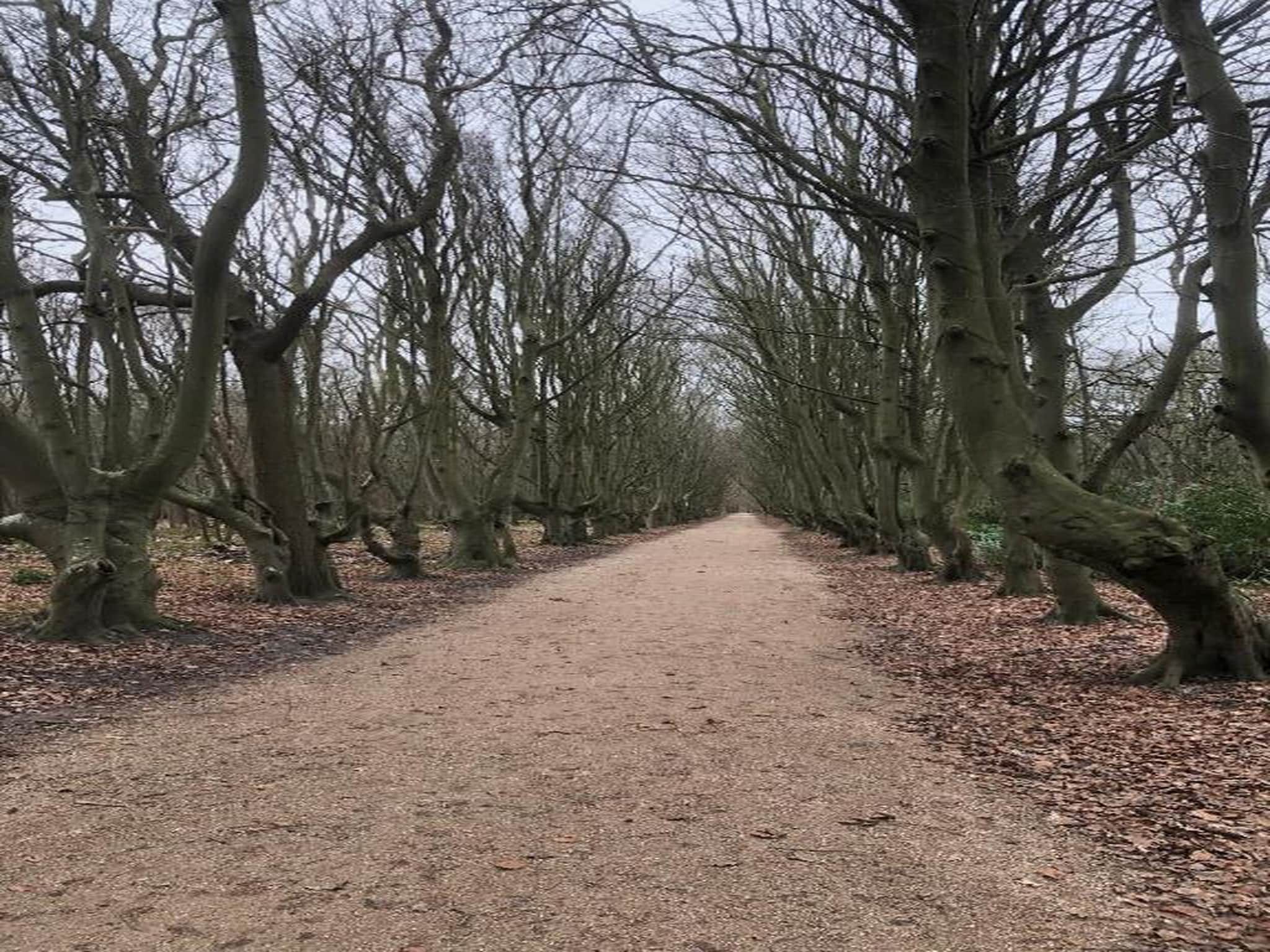 Appartement - Kon Emmaweg 6  beneden app in Vrouwenpolder - Foto 38 van 40