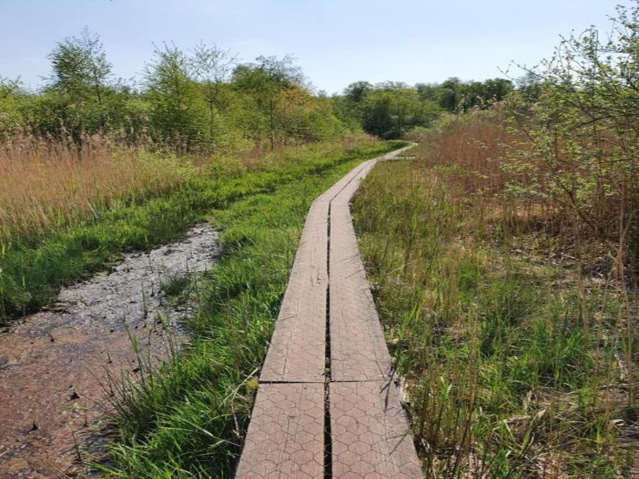 De Mattelier in Groenlo - Foto 20 van 40