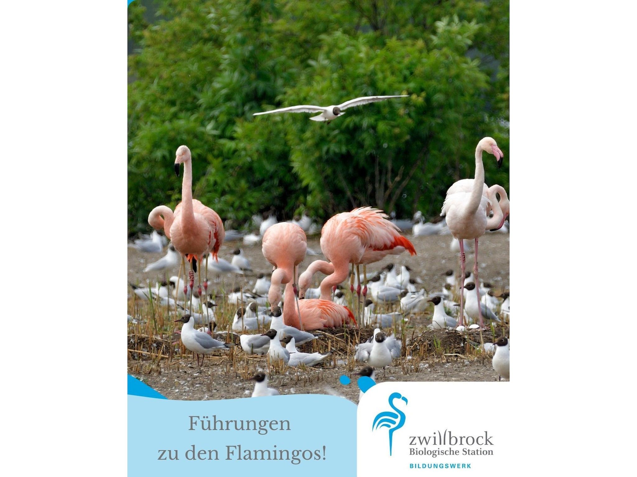 De Mattelier in Groenlo - Foto 2 van 40