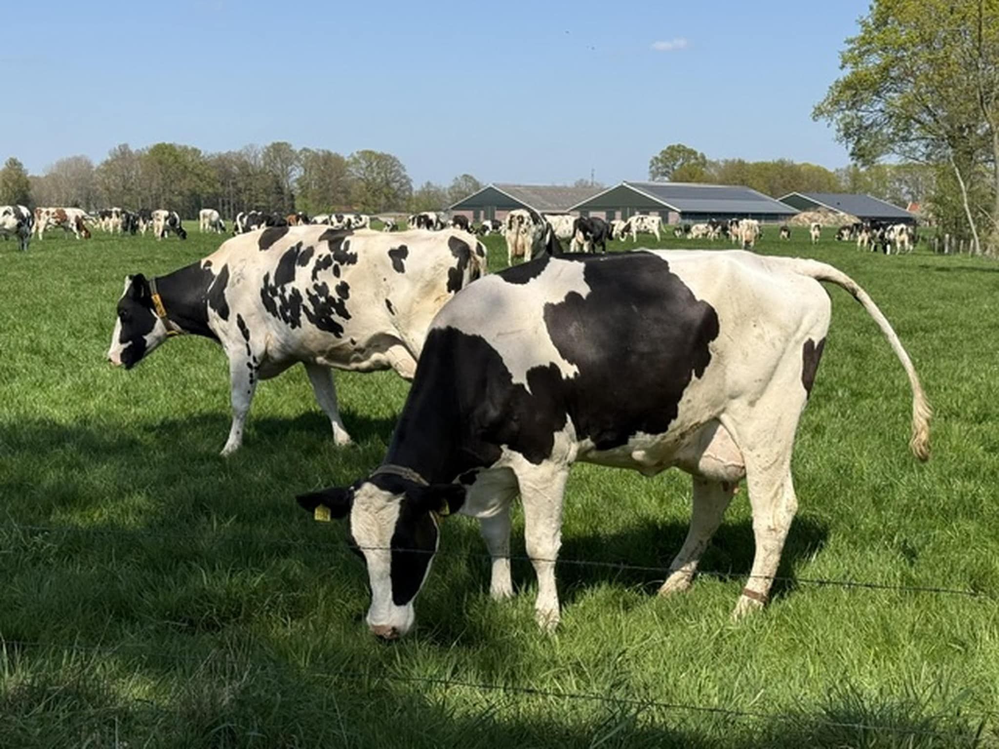 De Mattelier in Groenlo - Foto 40 van 40