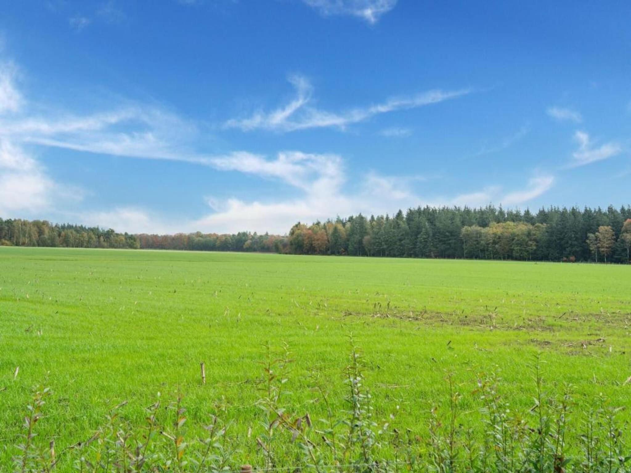 NR 3 in Goirle - Foto 29 van 38