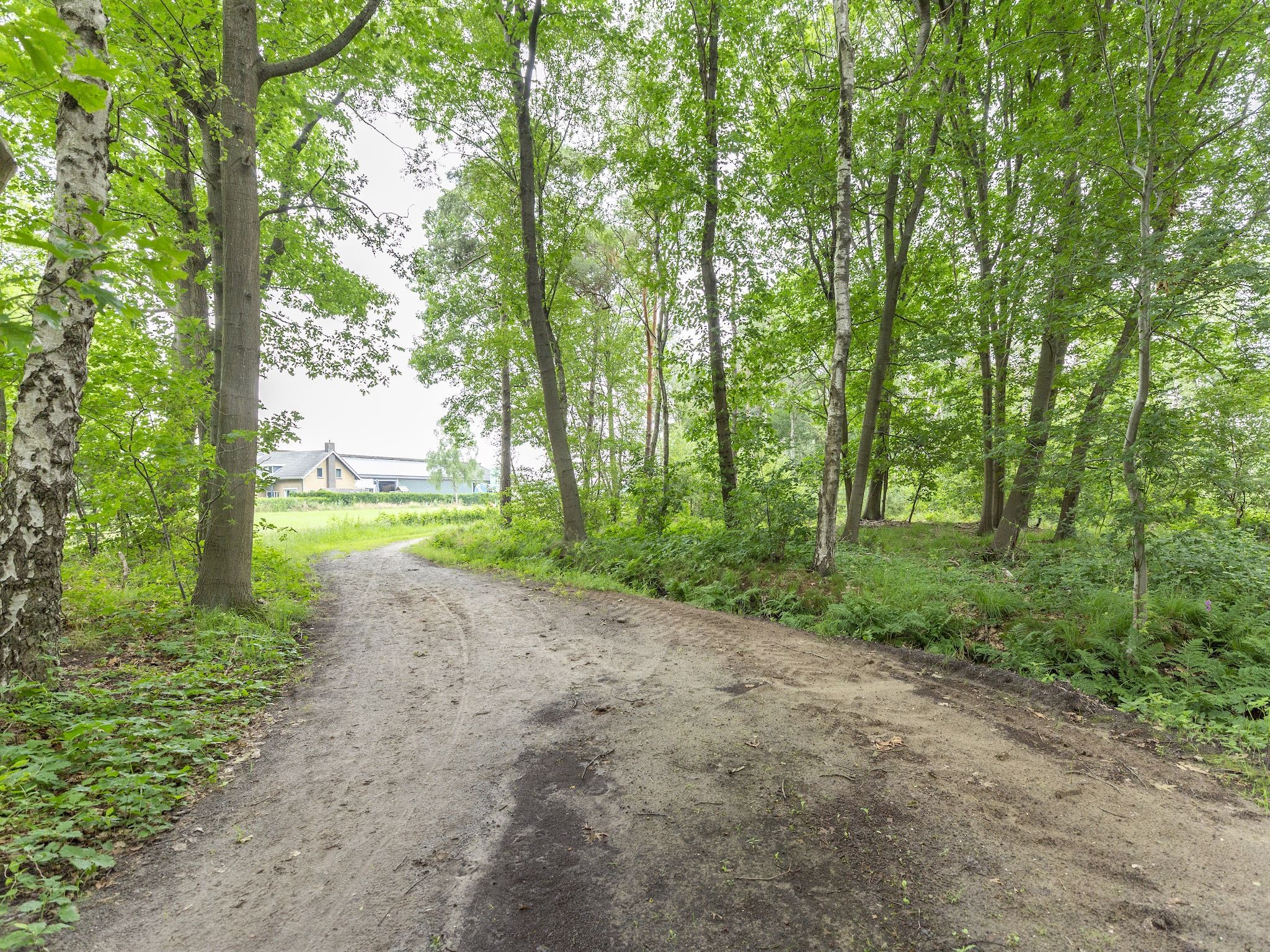 De omgeving van NR 4 in Goirle