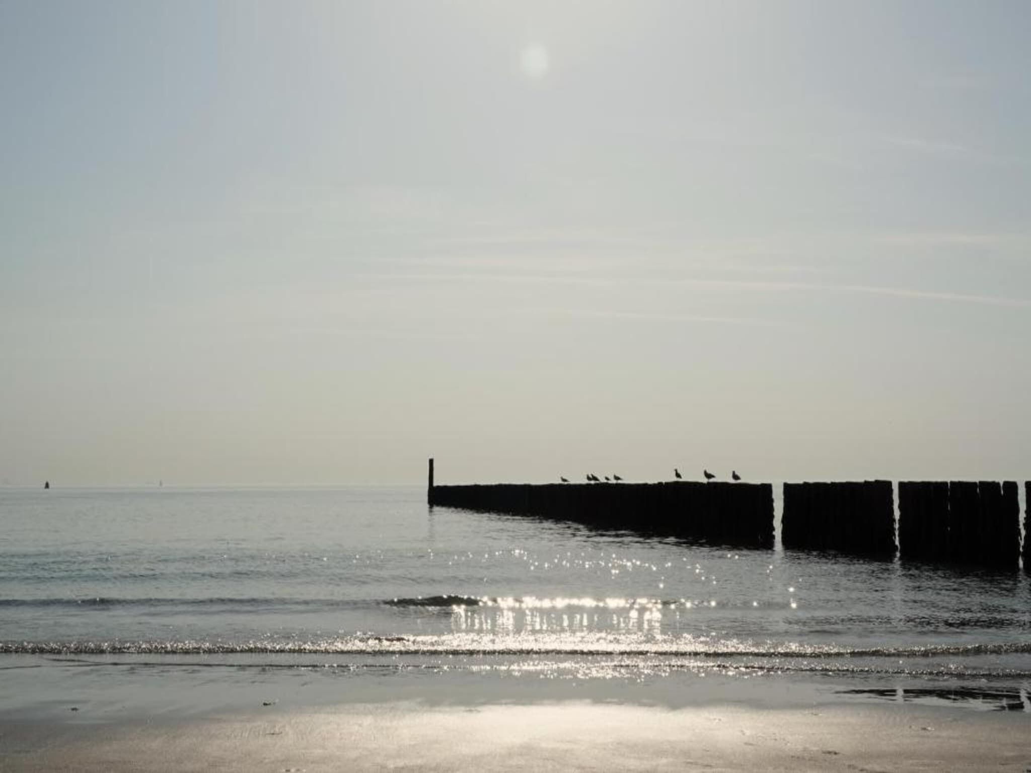 Vakantiepark Hof van Zeeland 6 in Heinkenszand - Foto 30 van 40