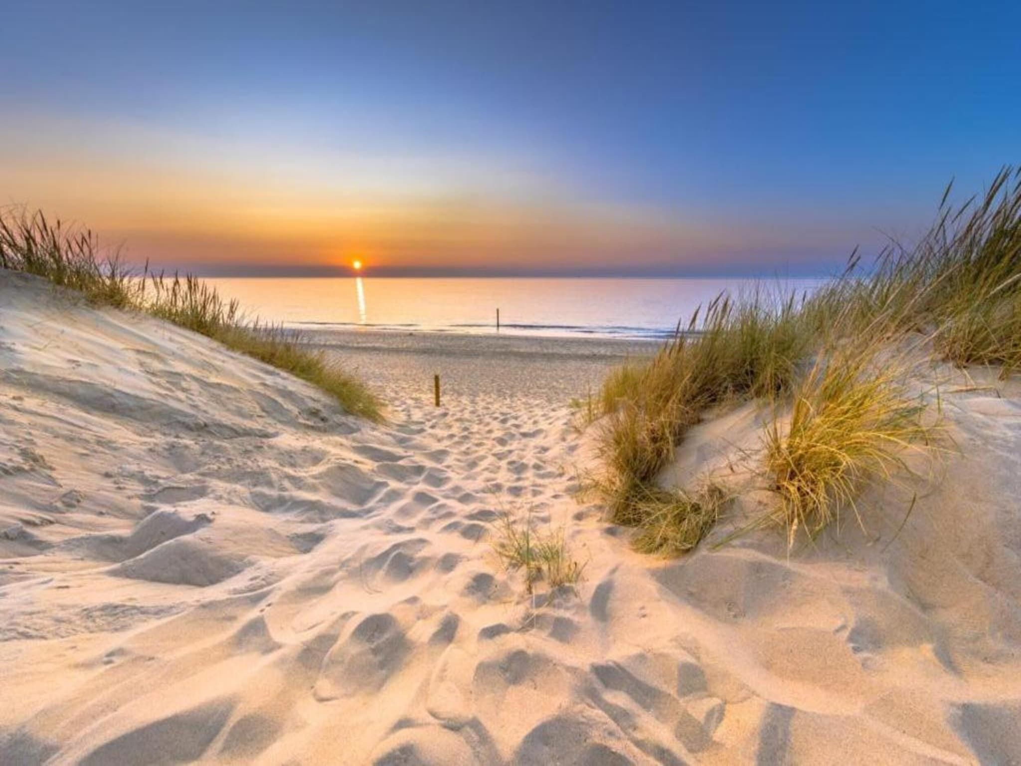 Vakantiepark Hof van Zeeland  7 in Heinkenszand - Foto 30 van 40
