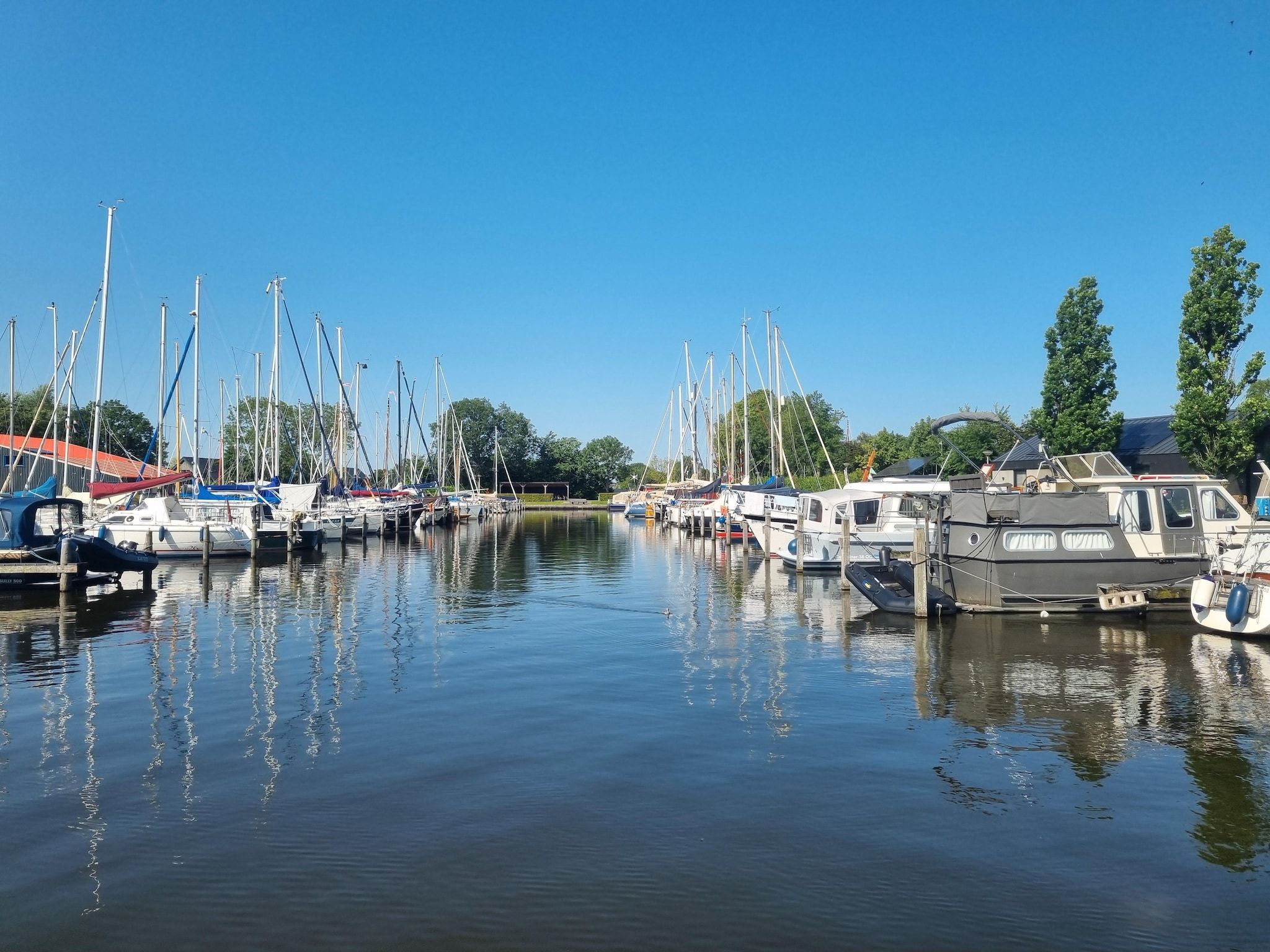 De omgeving van Watervilla Fiif in Balk