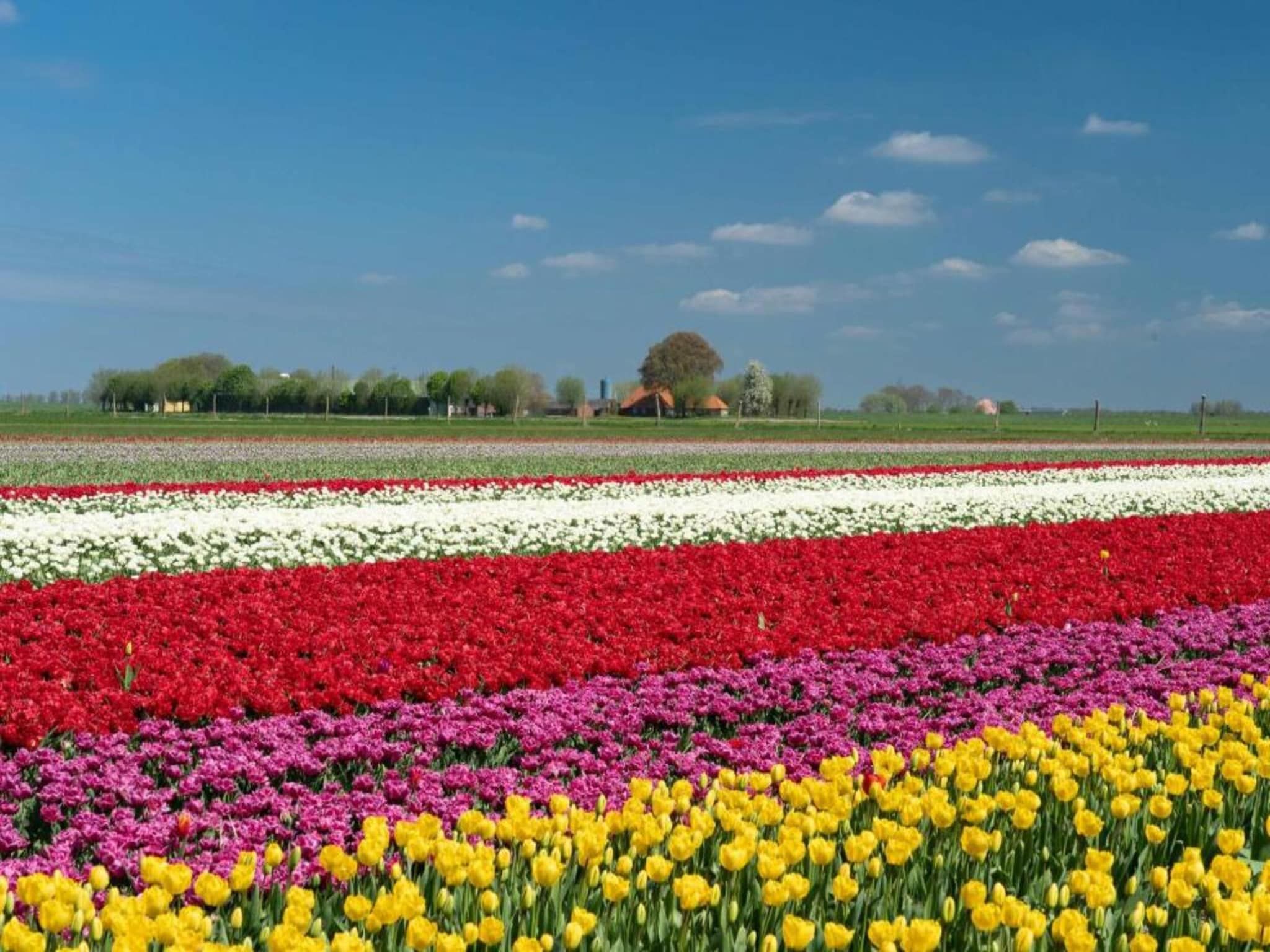 Vakantiepark Eigen Wijze 10 in Bant - Foto 22 van 24