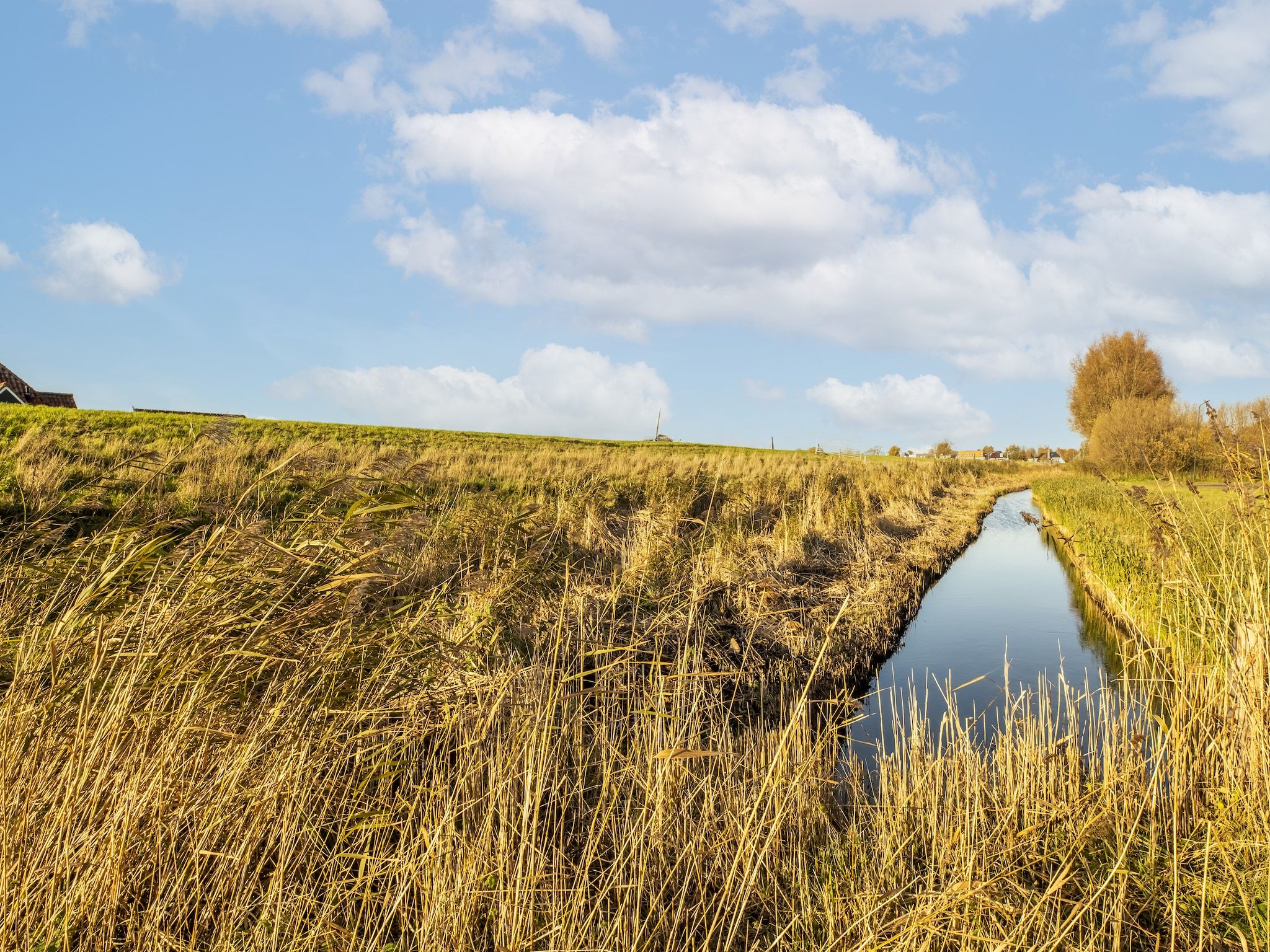 De omgeving van Marina Sunrise in Volendam