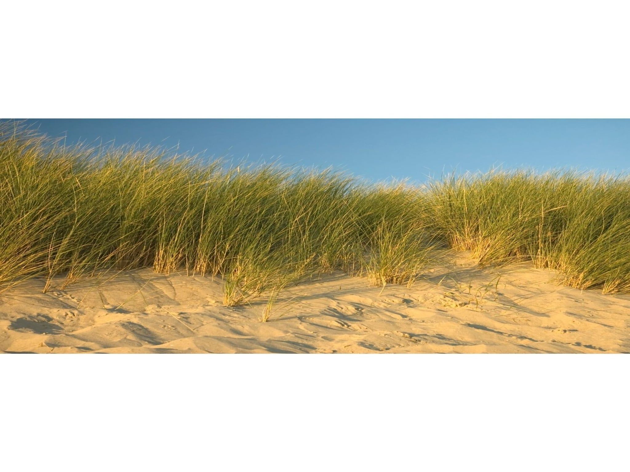 Zeeuwse Parel Appartement 4 pers 1 bdk - 1 in Colijnsplaat - Foto 37 van 38