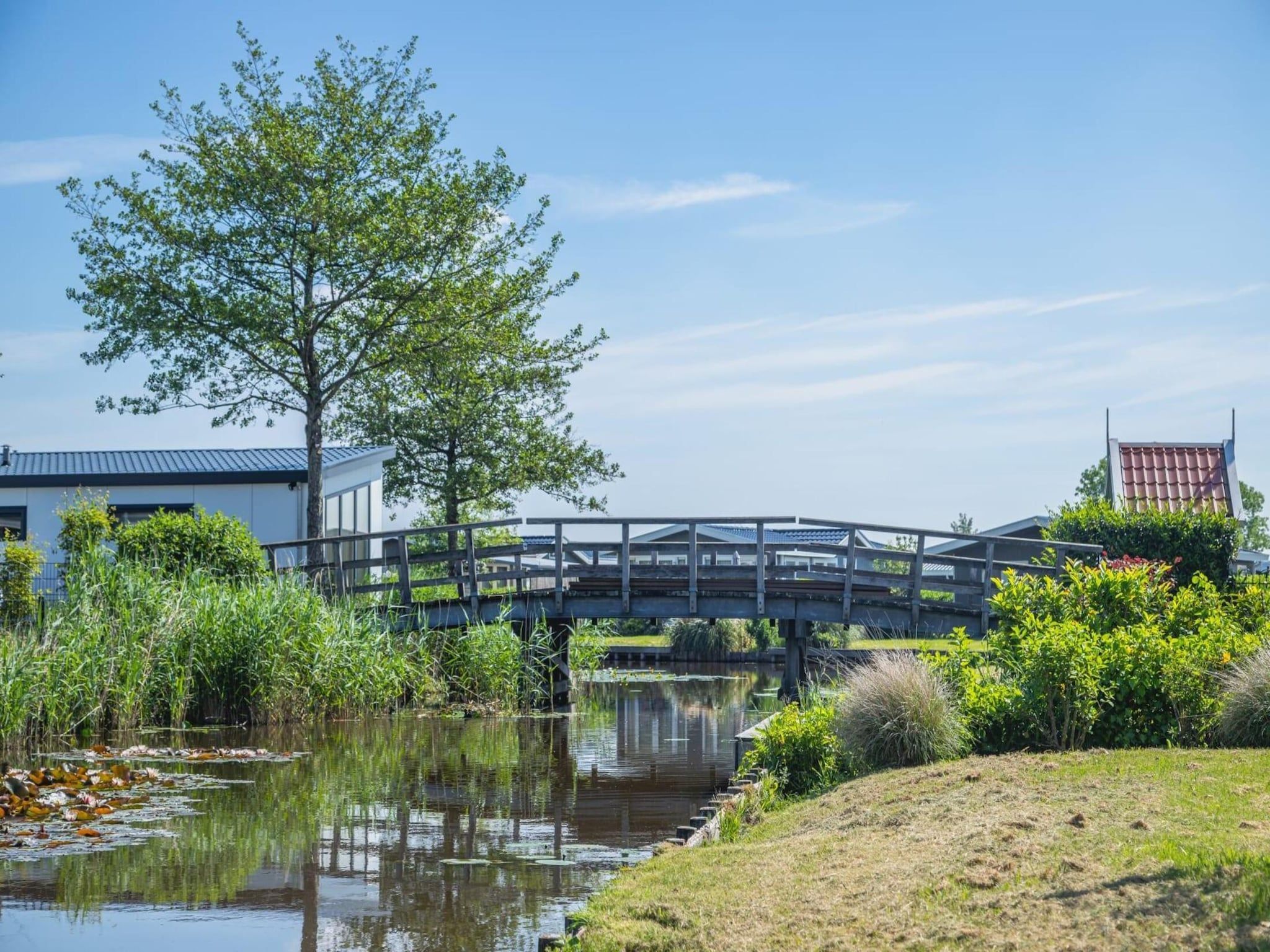 De omgeving van 	De Rijp met Sauna  6 personen in West-Graftdijk