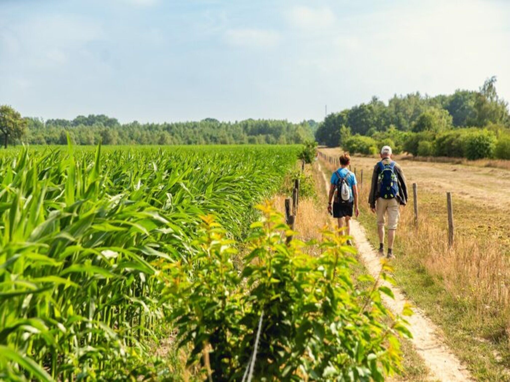 De omgeving van Vakantiepark Mölke 30 in Zuna