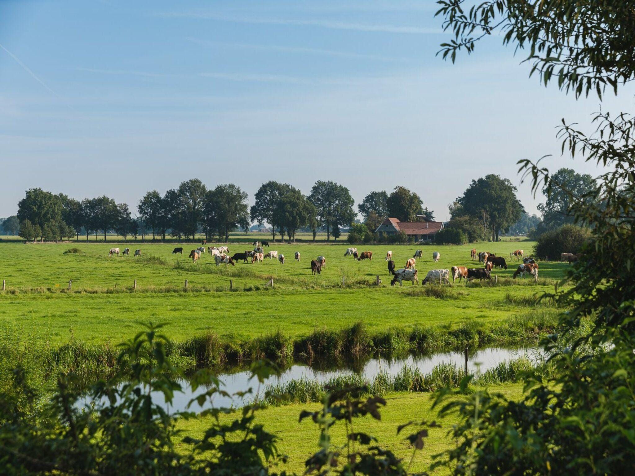 De omgeving van Vakantiepark Mölke 30 in Zuna