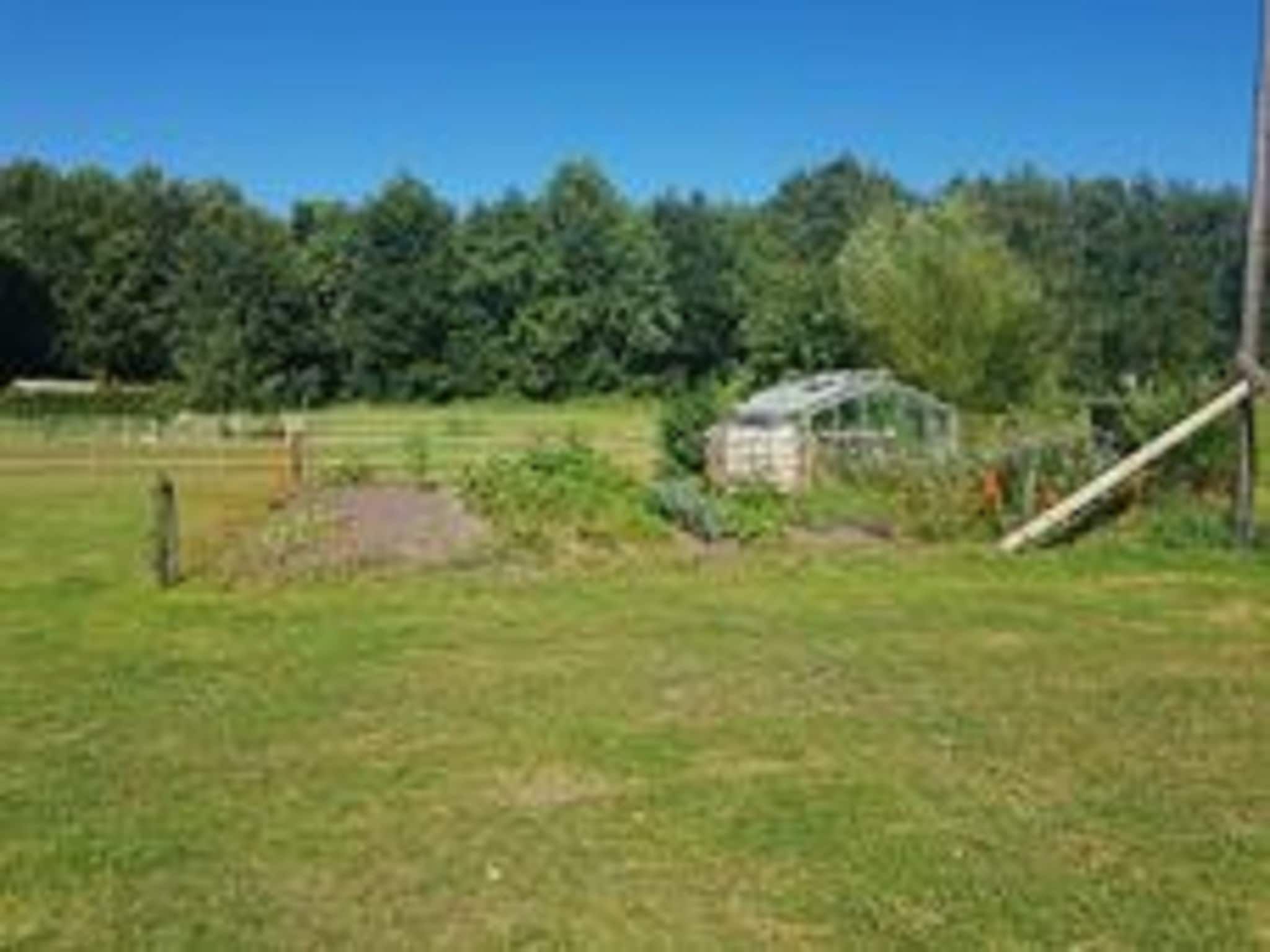 De tuin van Chalet Vrijzicht in Haulerwijk