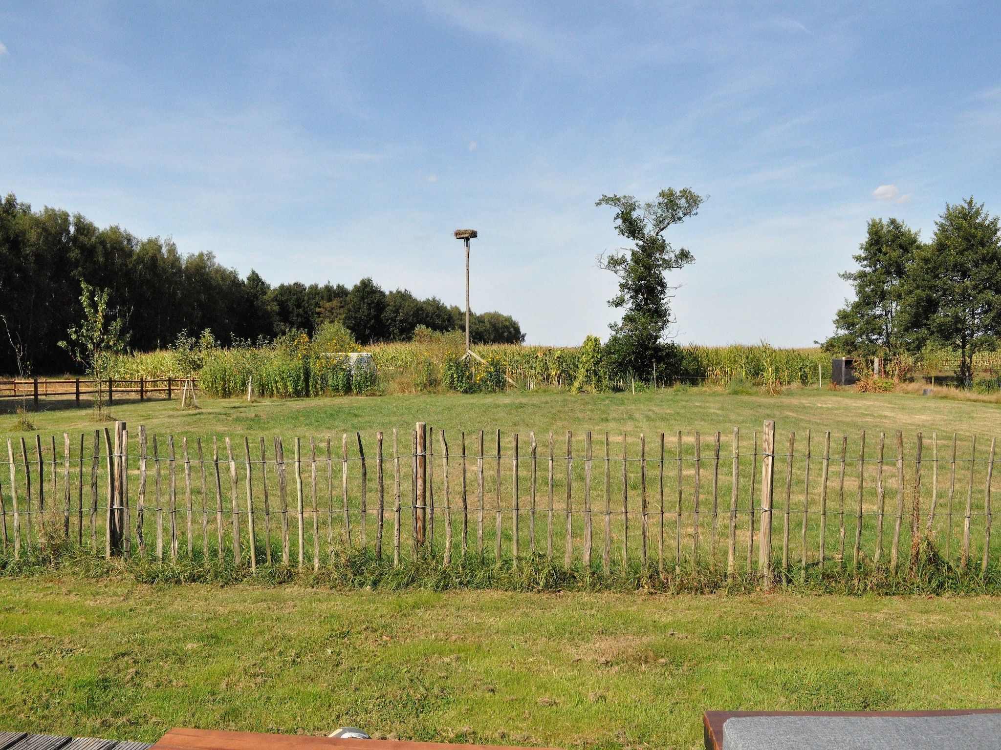 Het uitzicht vanaf Chalet Vrijzicht in Haulerwijk