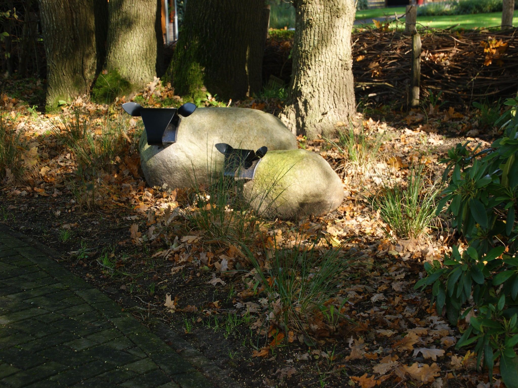 Natuurlodge Tureluur 2p in Drenthe - Foto 22 van 27