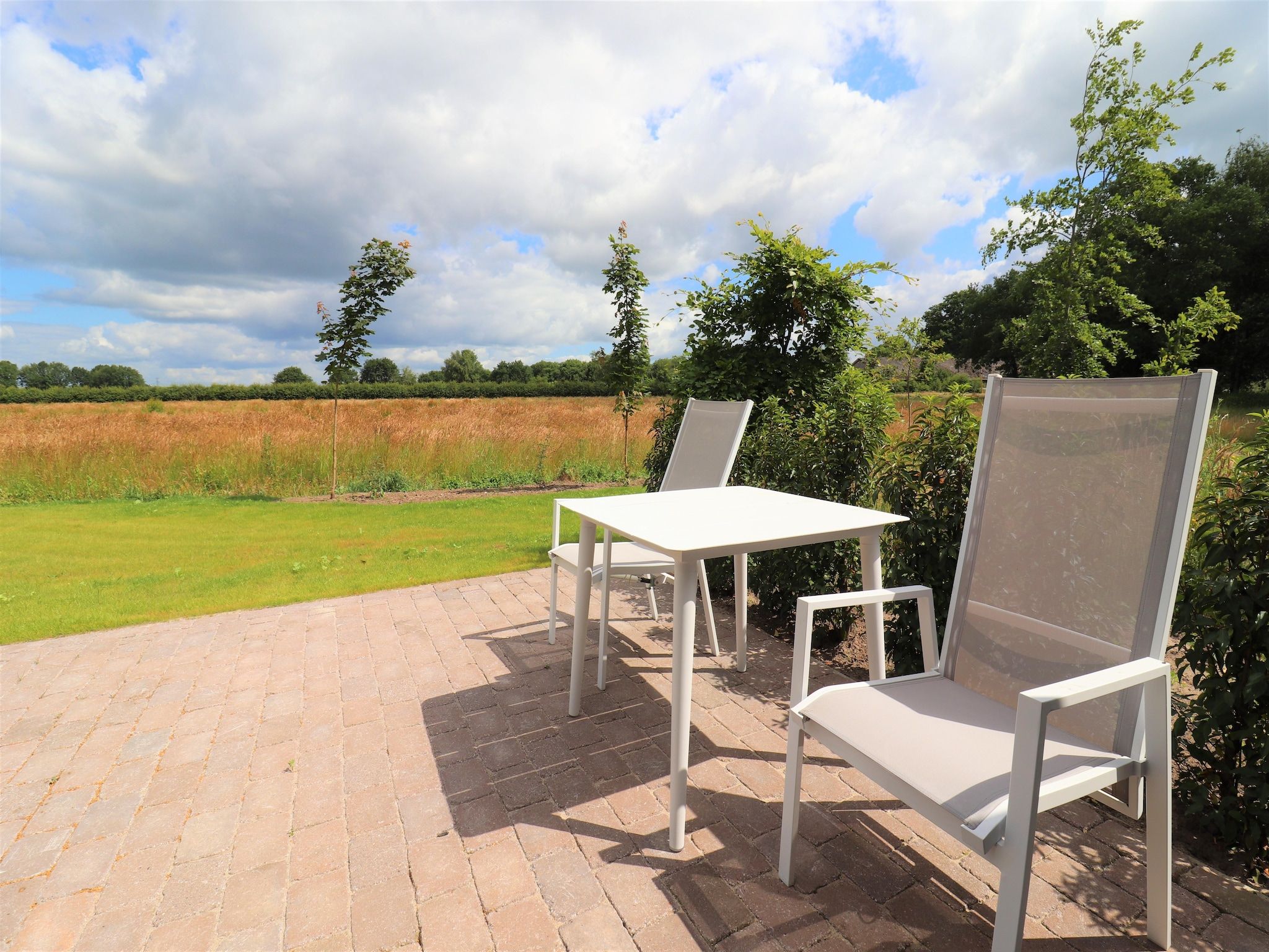 Het terras van Natuurlodge Graspieper 2p in Drenthe