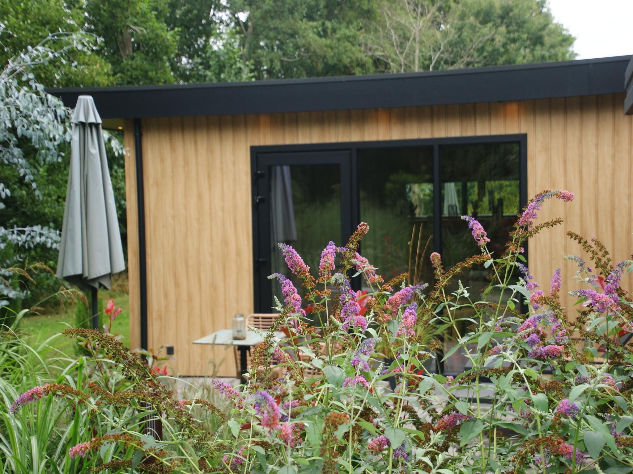 De tuin van Wellnesslodge Kievit 2p in Dalerveen
