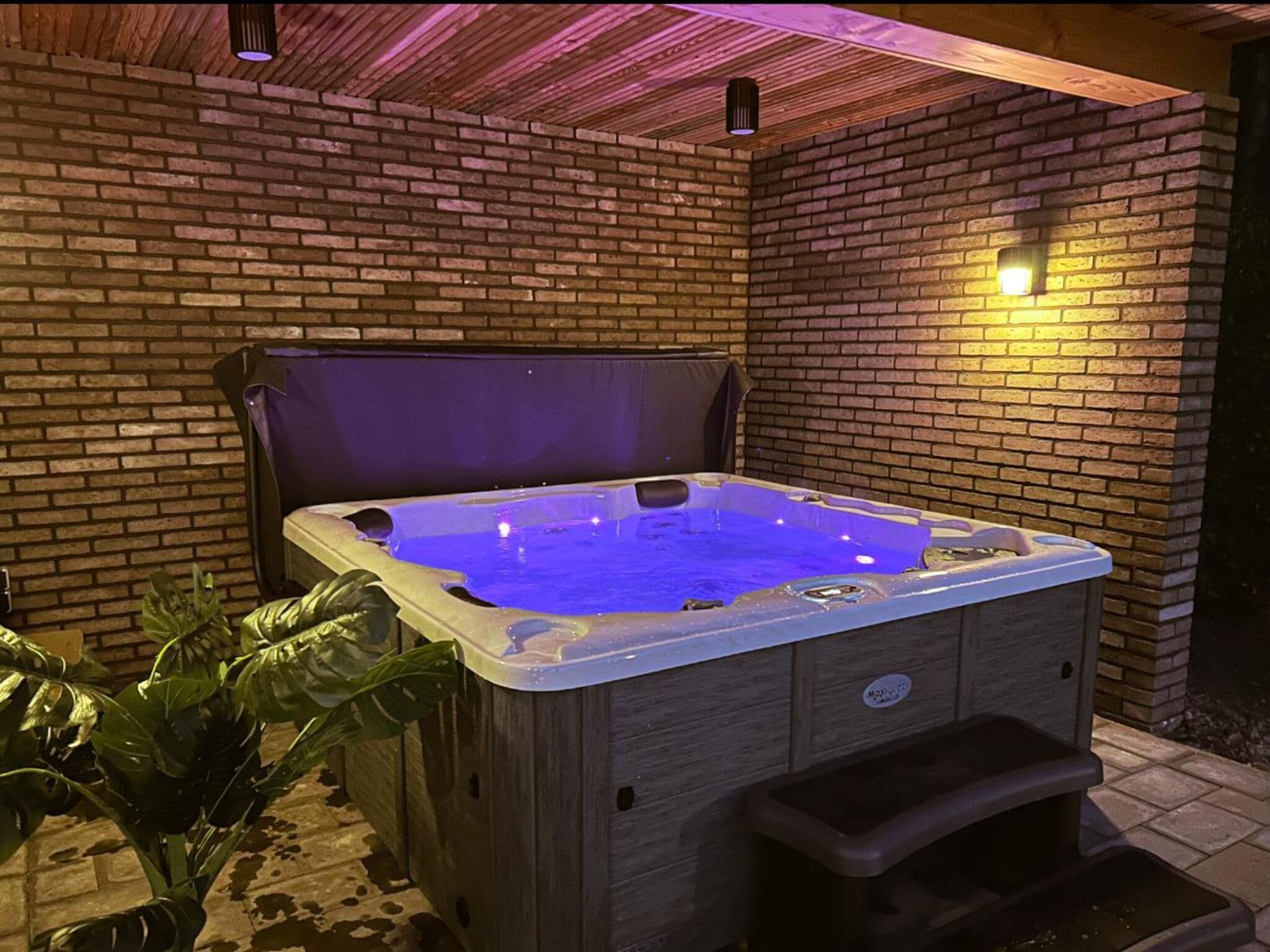 Wellness bij Wellnesslodge Kievit 2p in Dalerveen