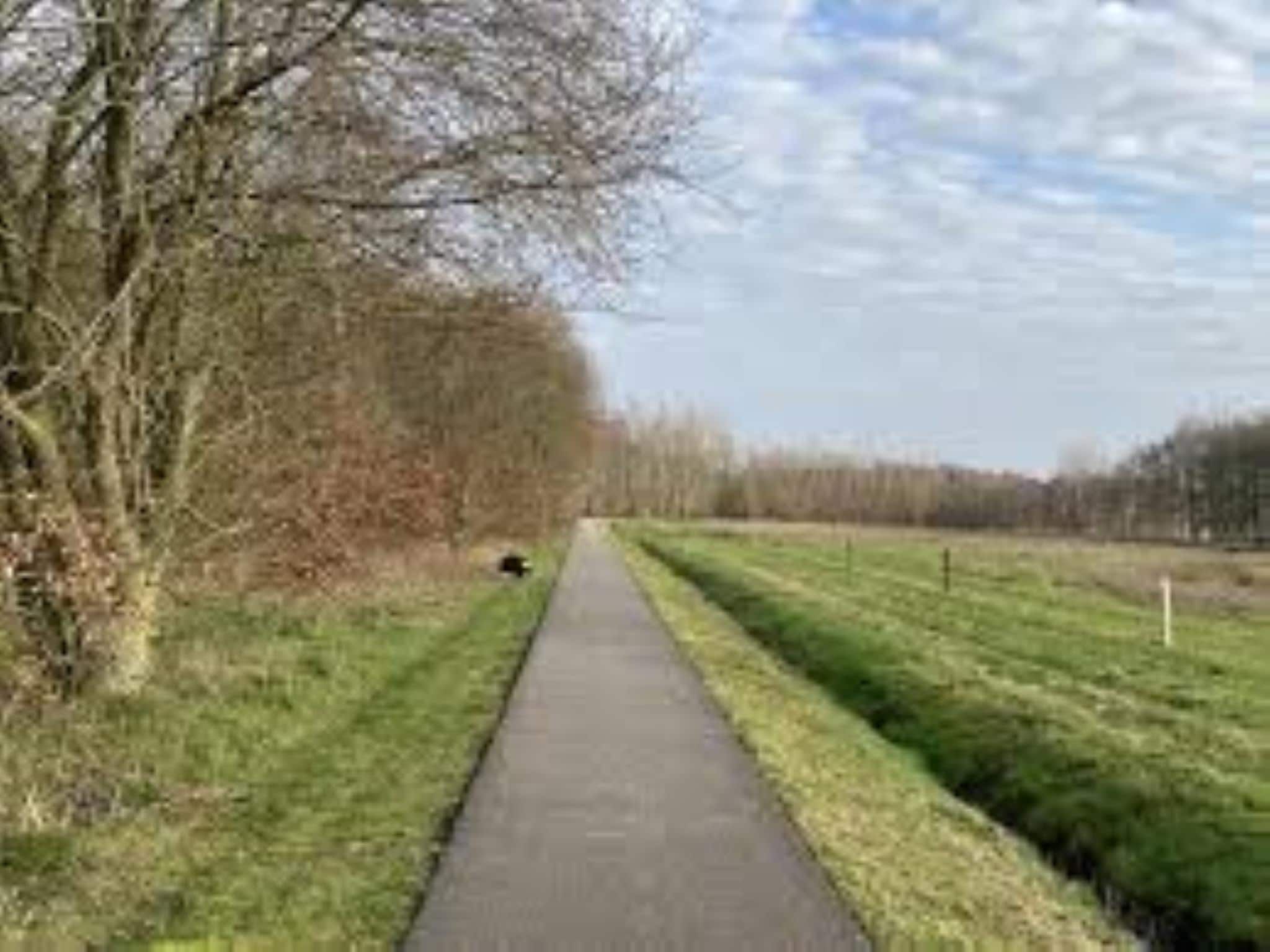 De omgeving van Wellnesslodge Scholekster 4p in Dalerveen