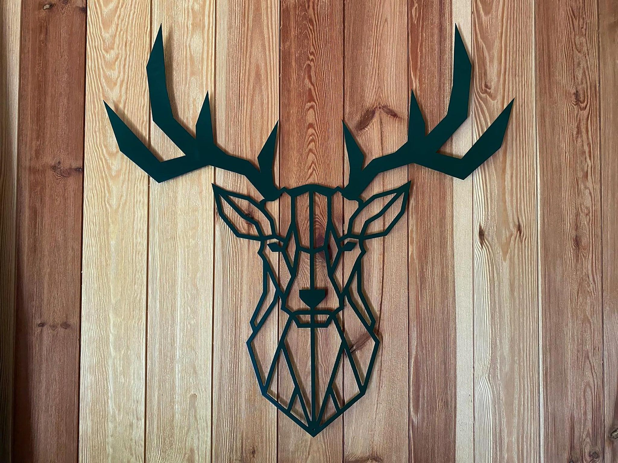 Sfeerbeeld van Wellnesslodge Scholekster 4p in Dalerveen