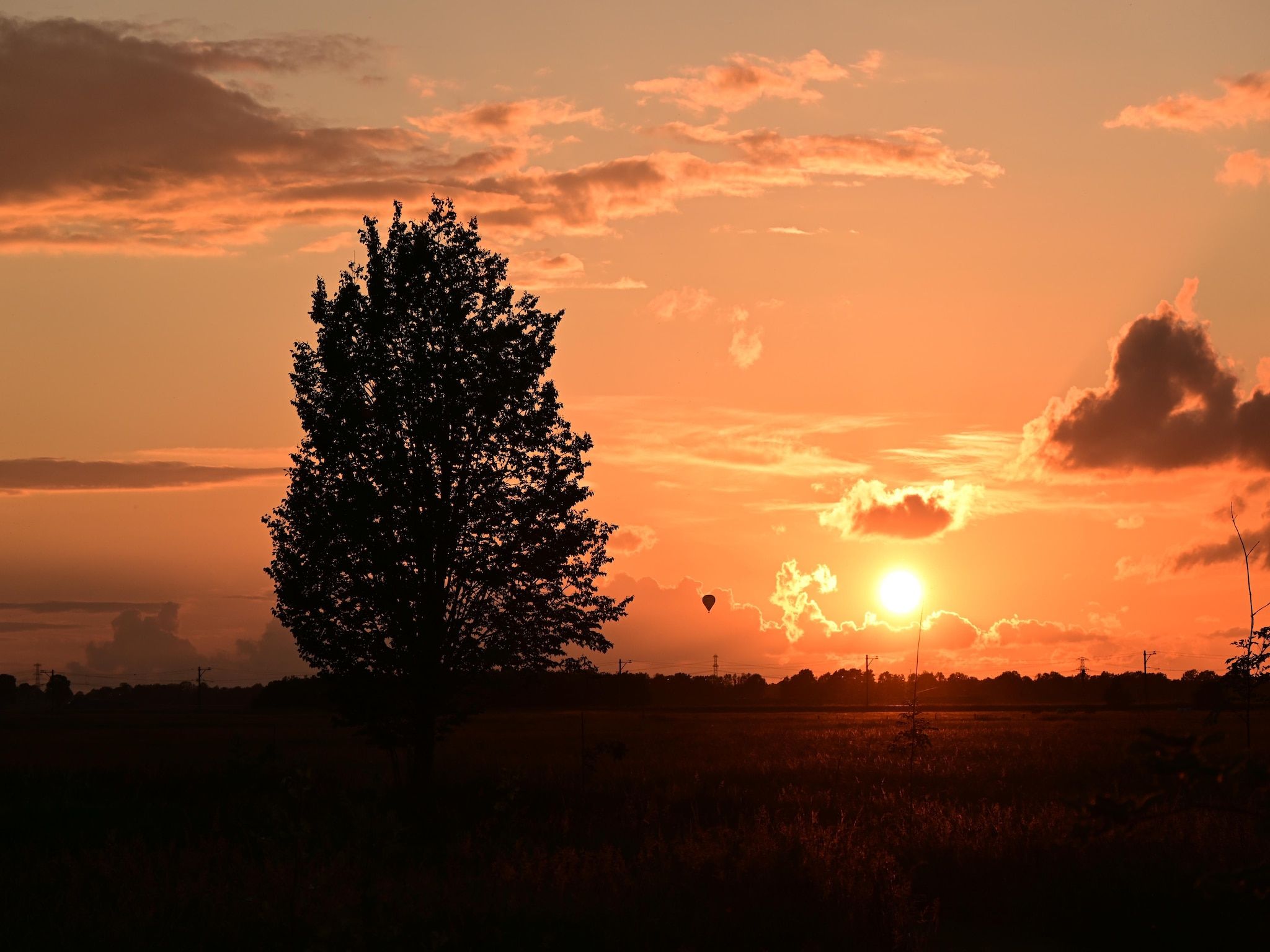 Wellnesslodge Scholekster 4p in Dalerveen - Foto 25 van 34