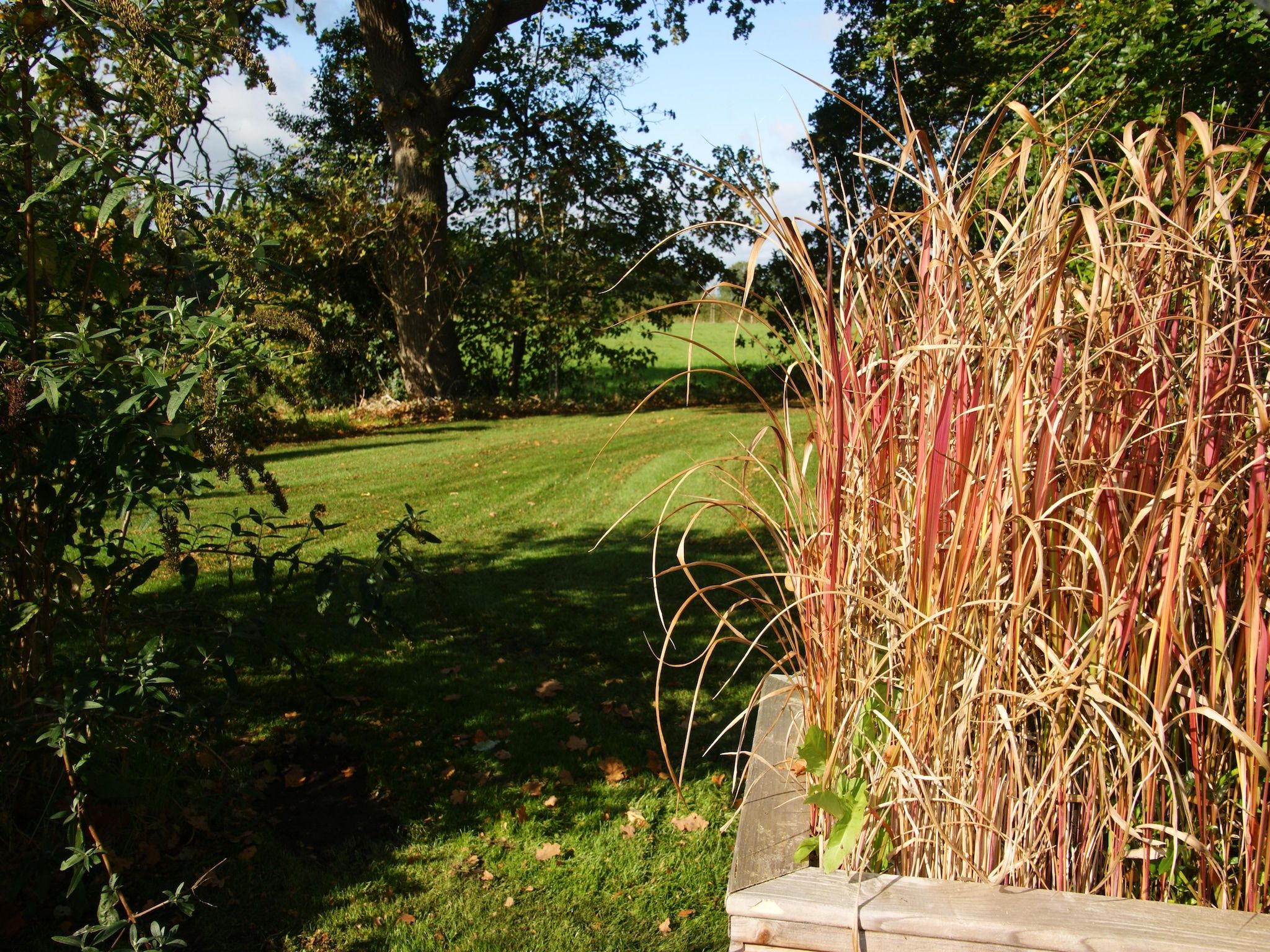 Wellnesslodge Scholekster 4p in Dalerveen - Foto 26 van 34