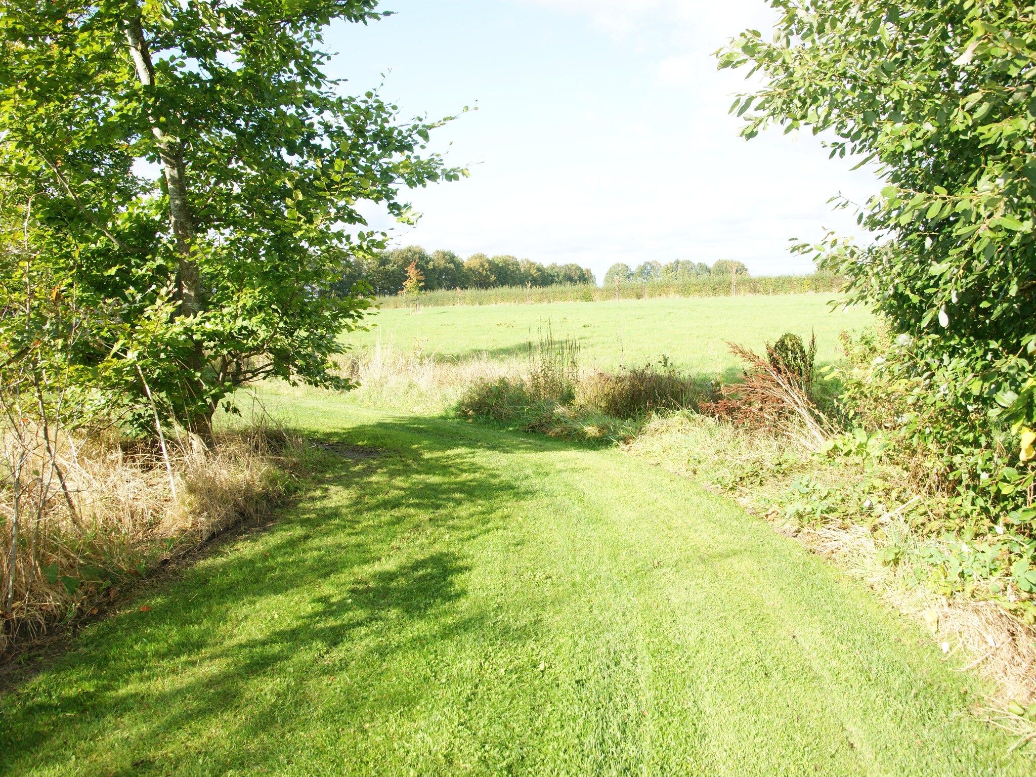 Wellnesslodge Scholekster 4p in Dalerveen - Foto 31 van 34