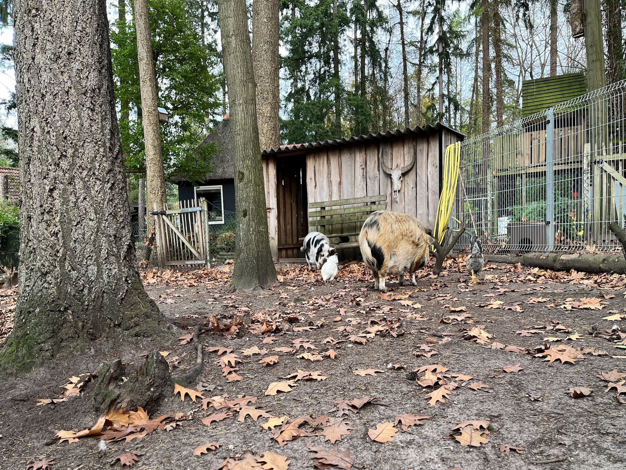 Energievriendelijk 't Brummelhuus H556 in Lochem - Foto 32 van 40