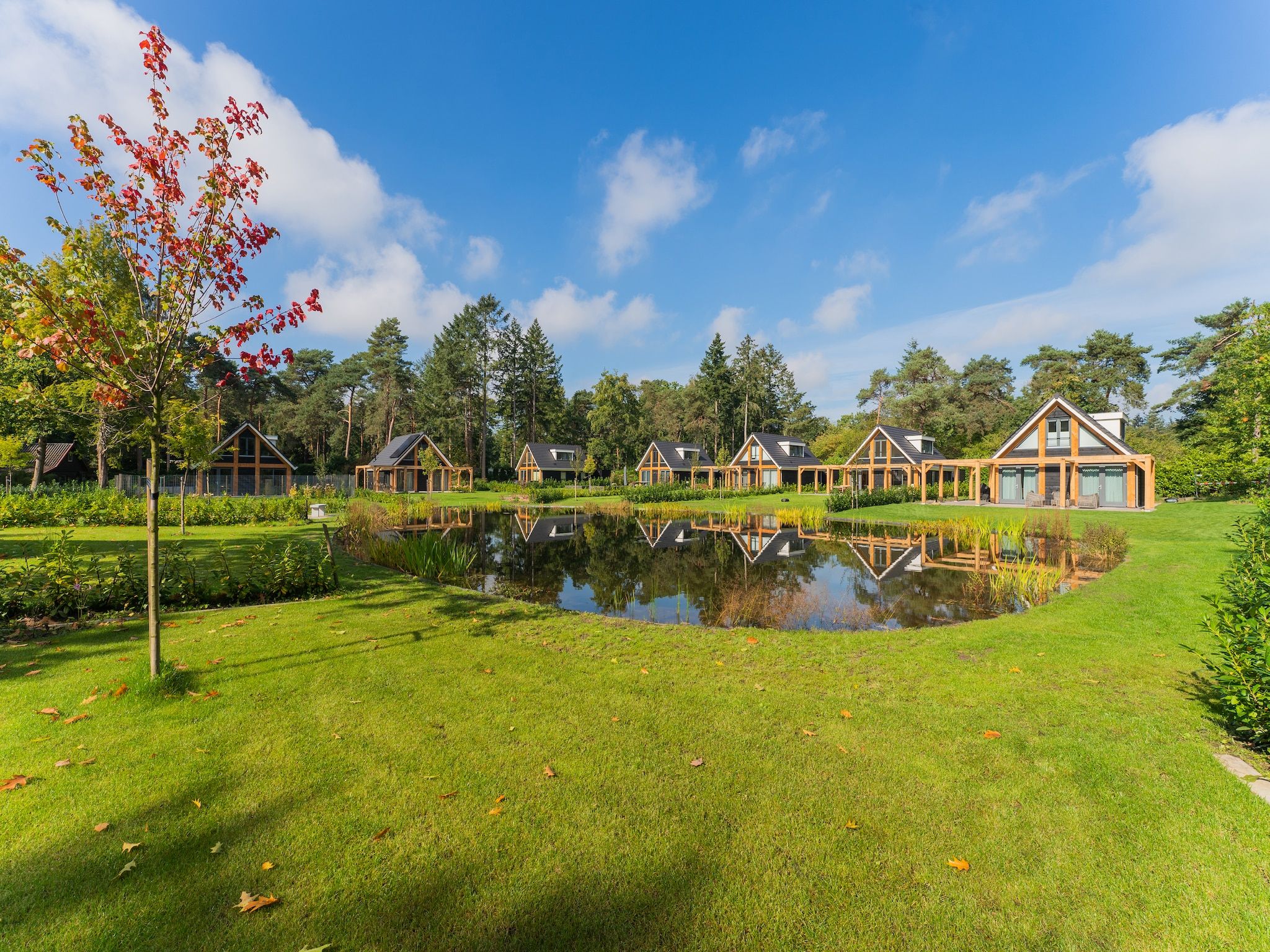 Hart van Ruighenrode - H552 in Lochem - Foto 37 van 40