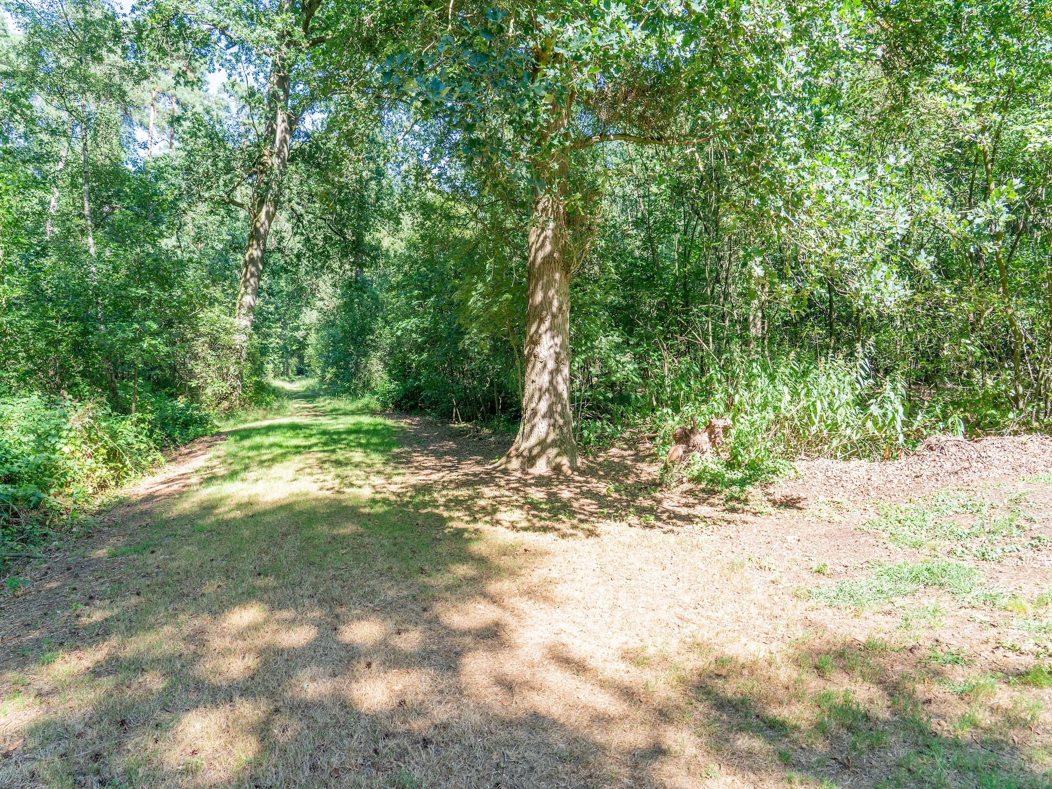 De omgeving van Boschhuis Boucle in Lochem