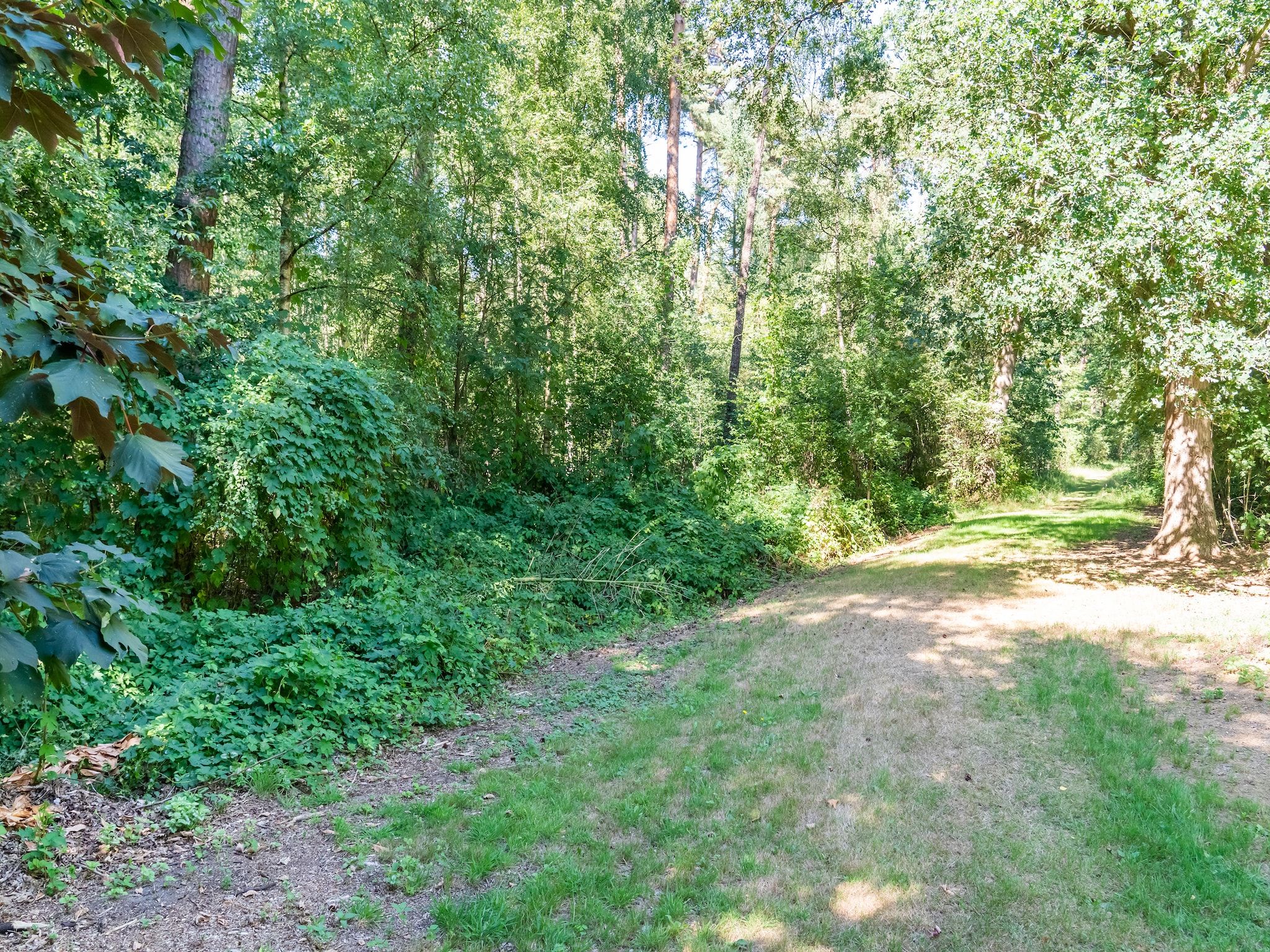 De omgeving van Boschhuis Boucle in Lochem