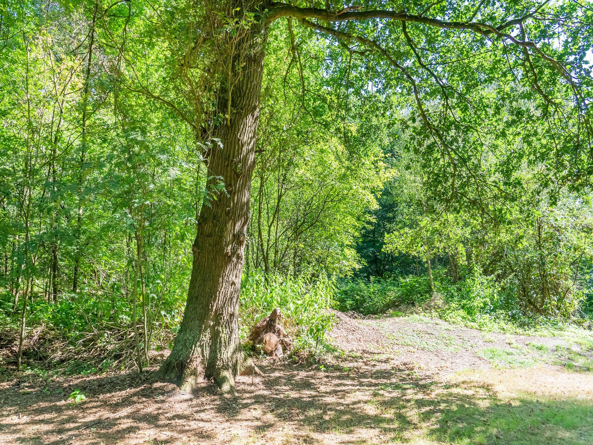 De omgeving van Boschhuis Boucle in Lochem