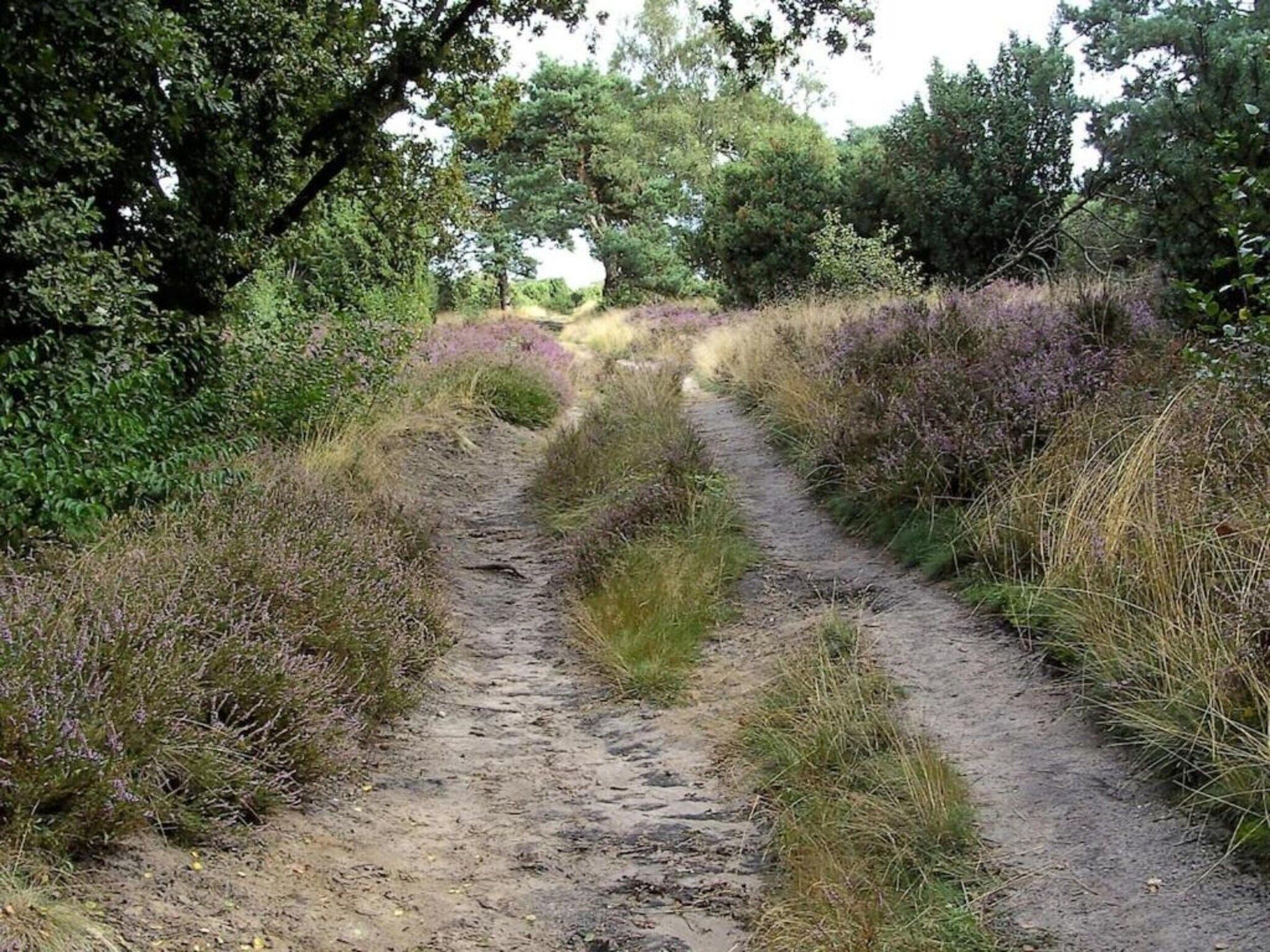 De omgeving van Vakantiepark Hellendoorn 1 in Hellendoorn