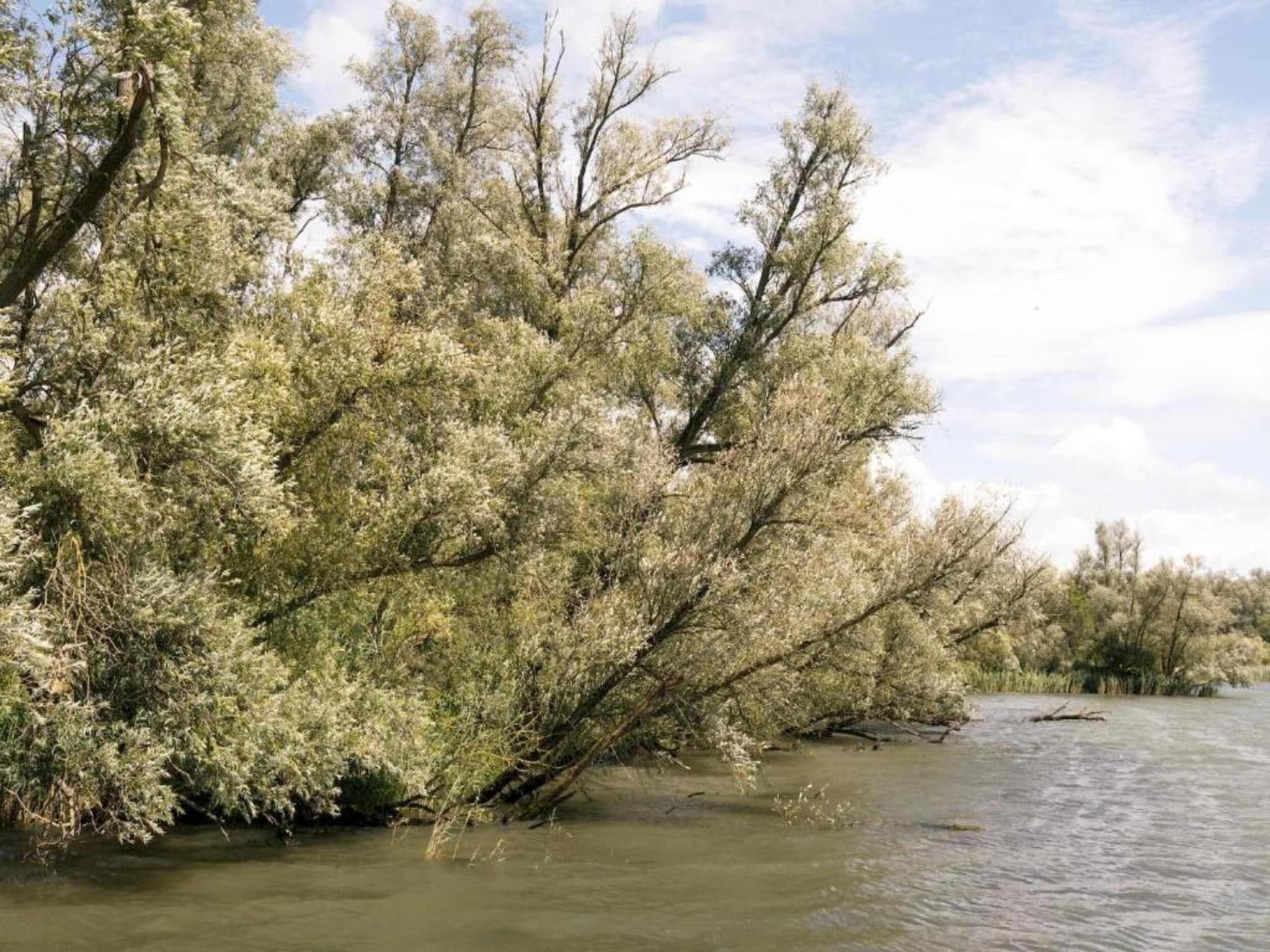 De omgeving van Vakantiepark de Katjeskelder 23 in Oosterhout