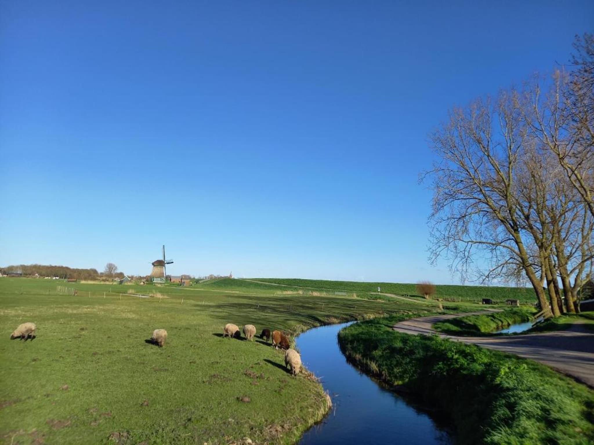 Park Wijdenes 4 in Wijdenes - Foto 31 van 40