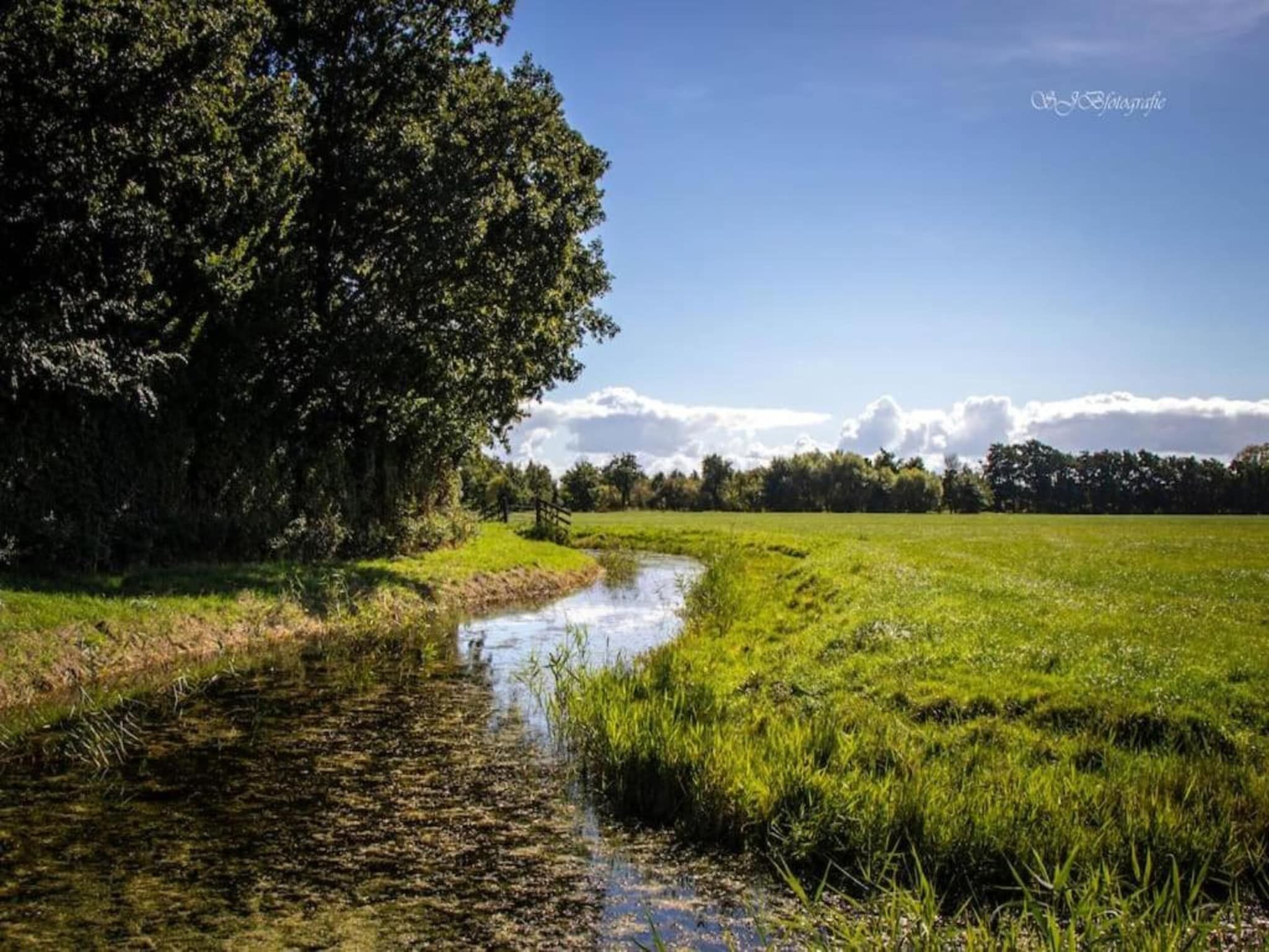 Park Wijdenes 4 in Wijdenes - Foto 36 van 40