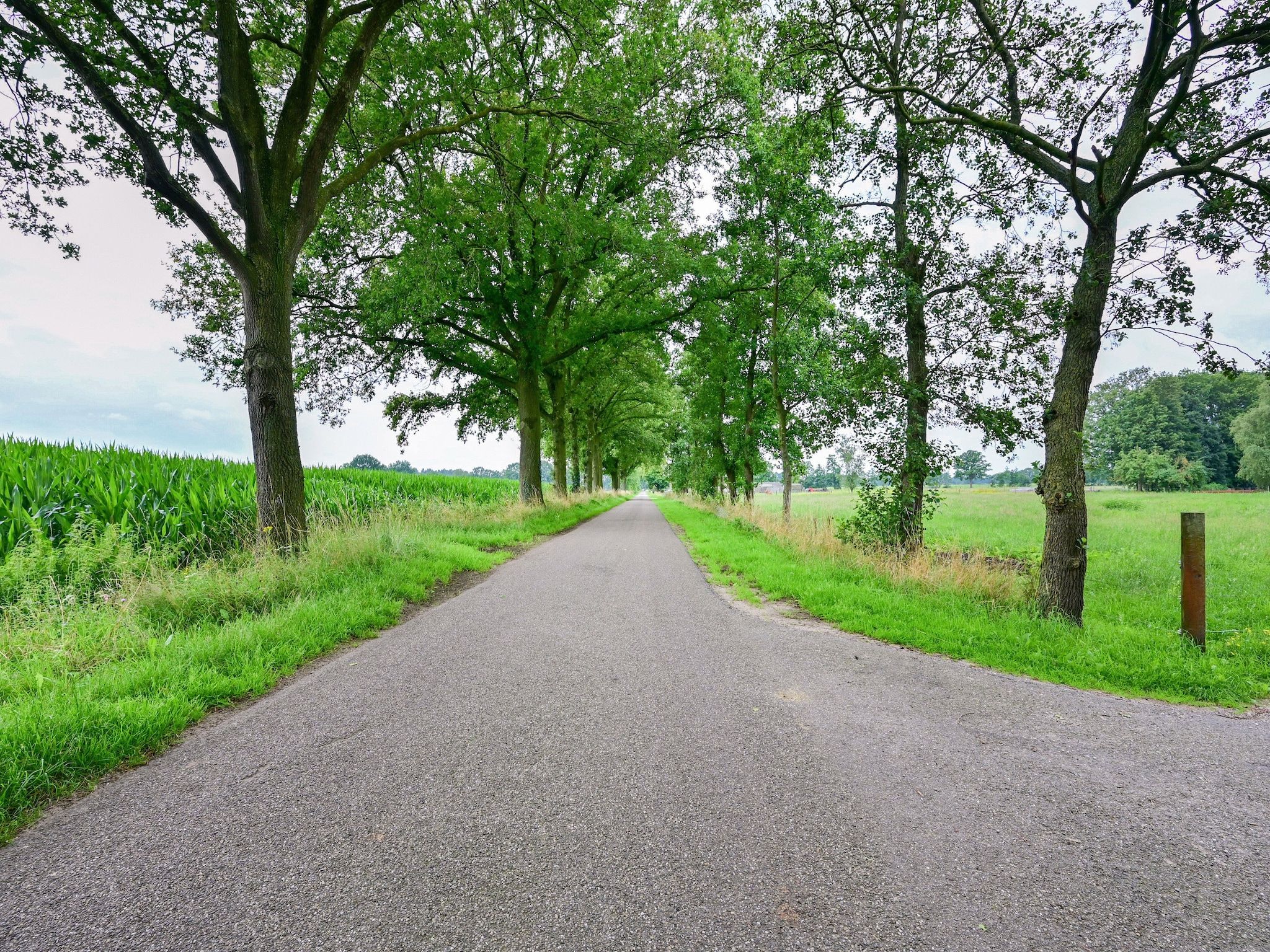 De omgeving van Welskerveen - 4 personen in De Heurne