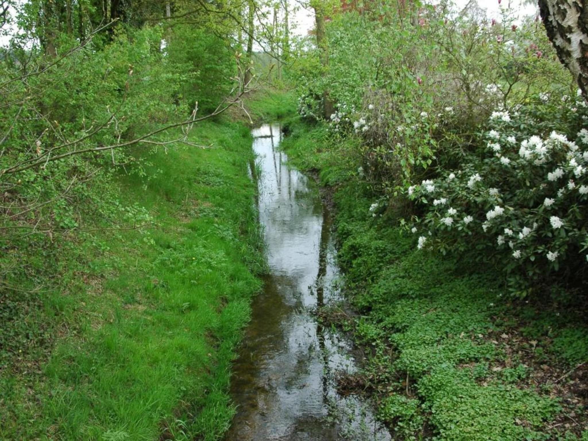 Welskerveen - 4 personen in De Heurne - Foto 34 van 39