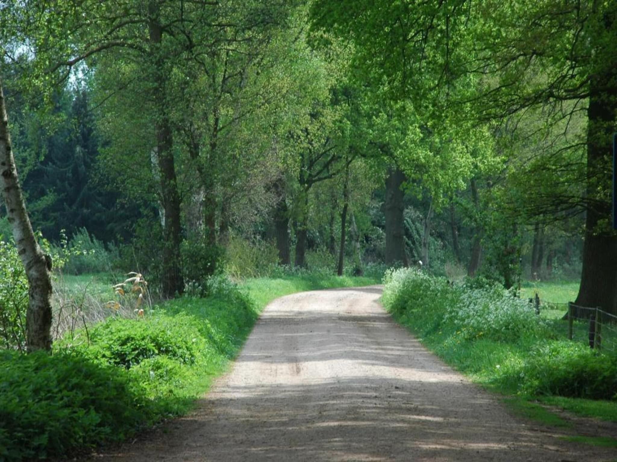 Welskerveen - 4 personen in De Heurne - Foto 37 van 39