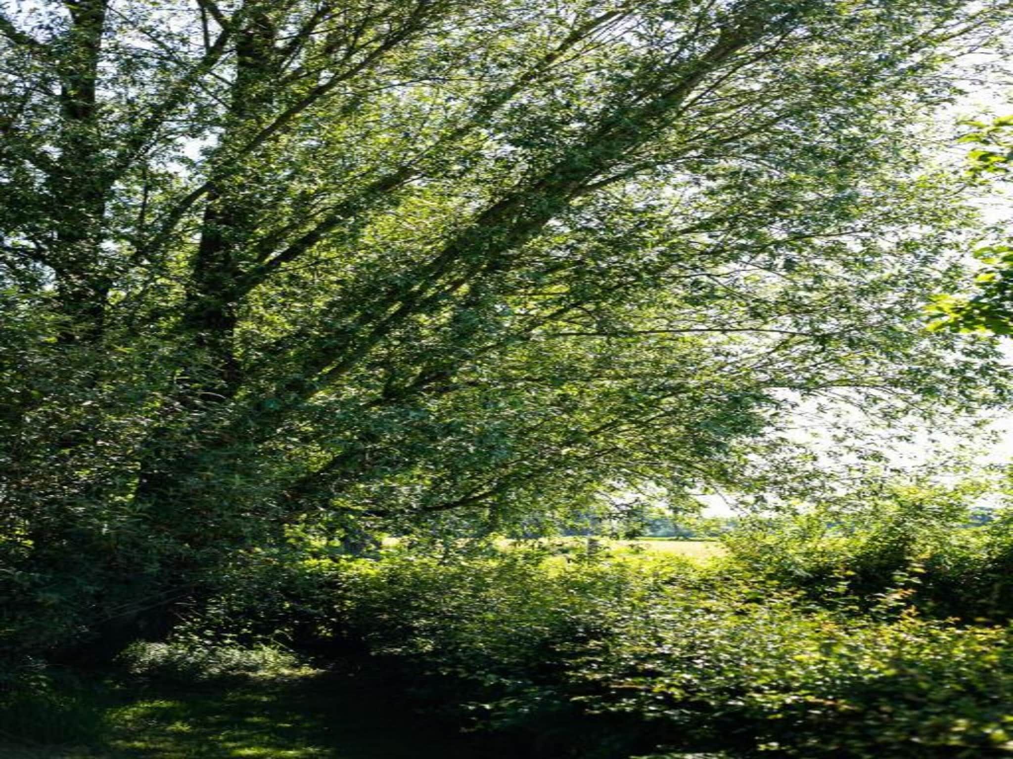 Welskerveen - 4 personen in De Heurne - Foto 36 van 39