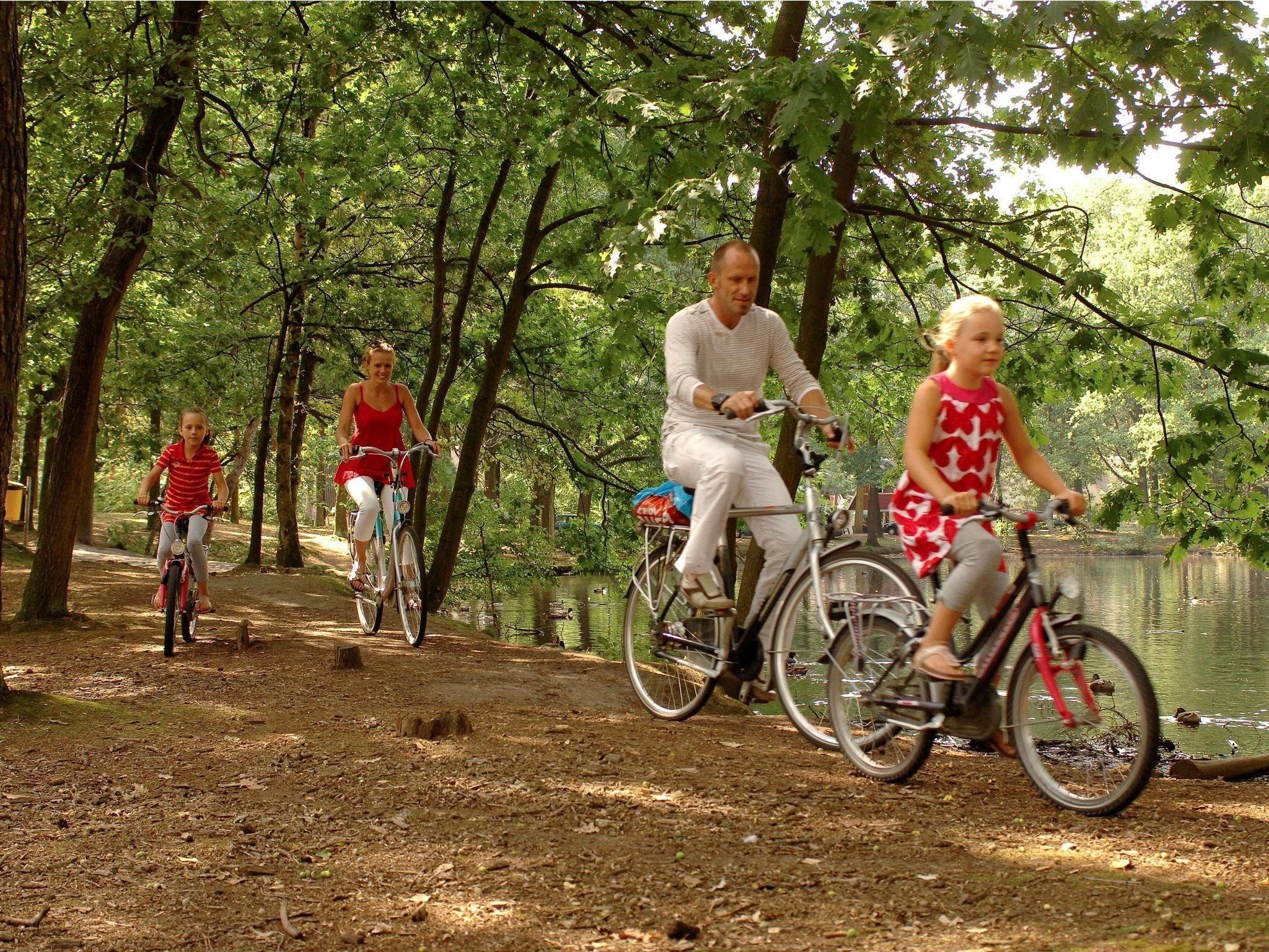 Bospark 't Wolfsven 15 in Mierlo - Foto 8 van 28