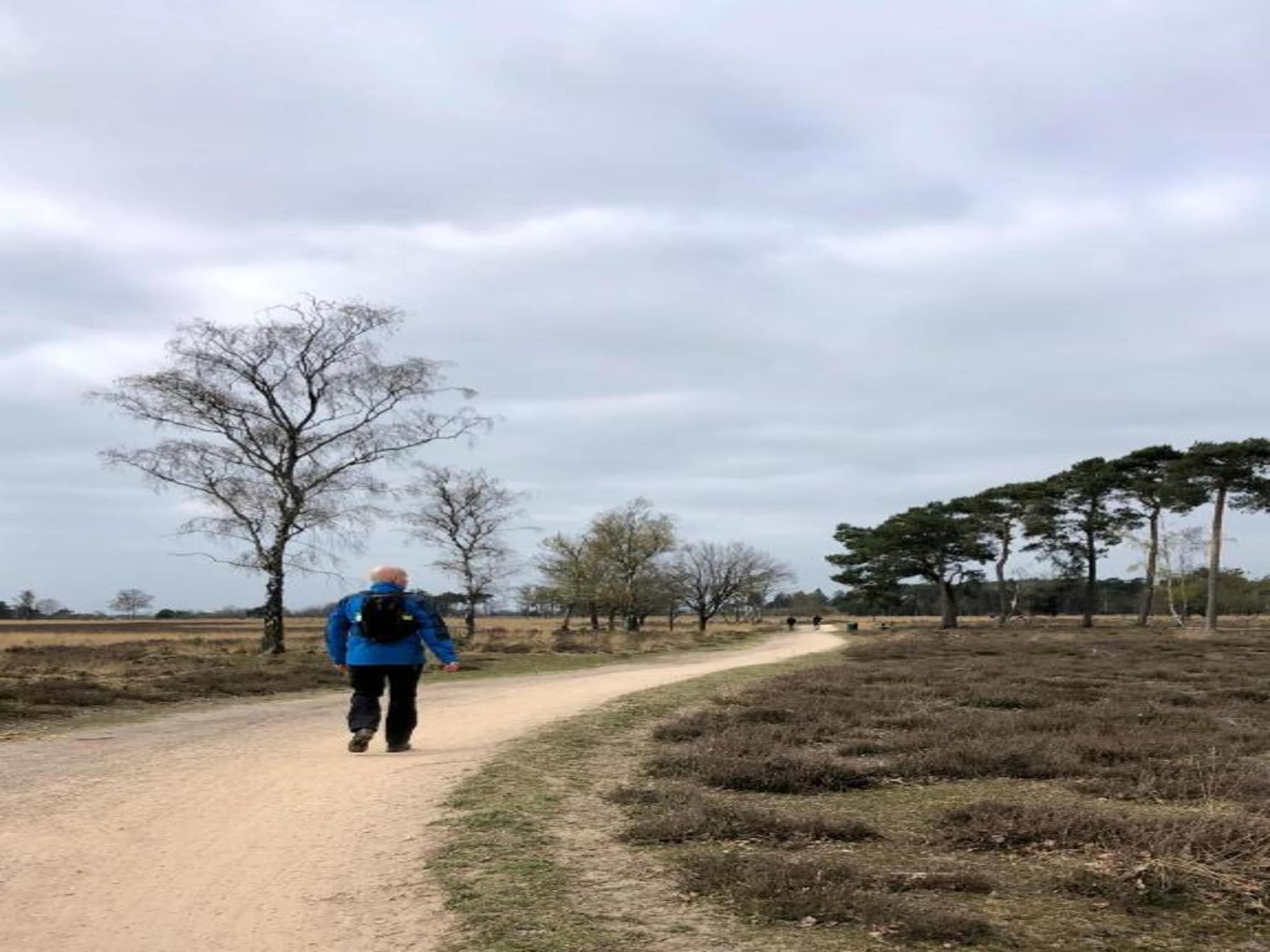 De omgeving van Bospark 't Wolfsven 16 in Mierlo