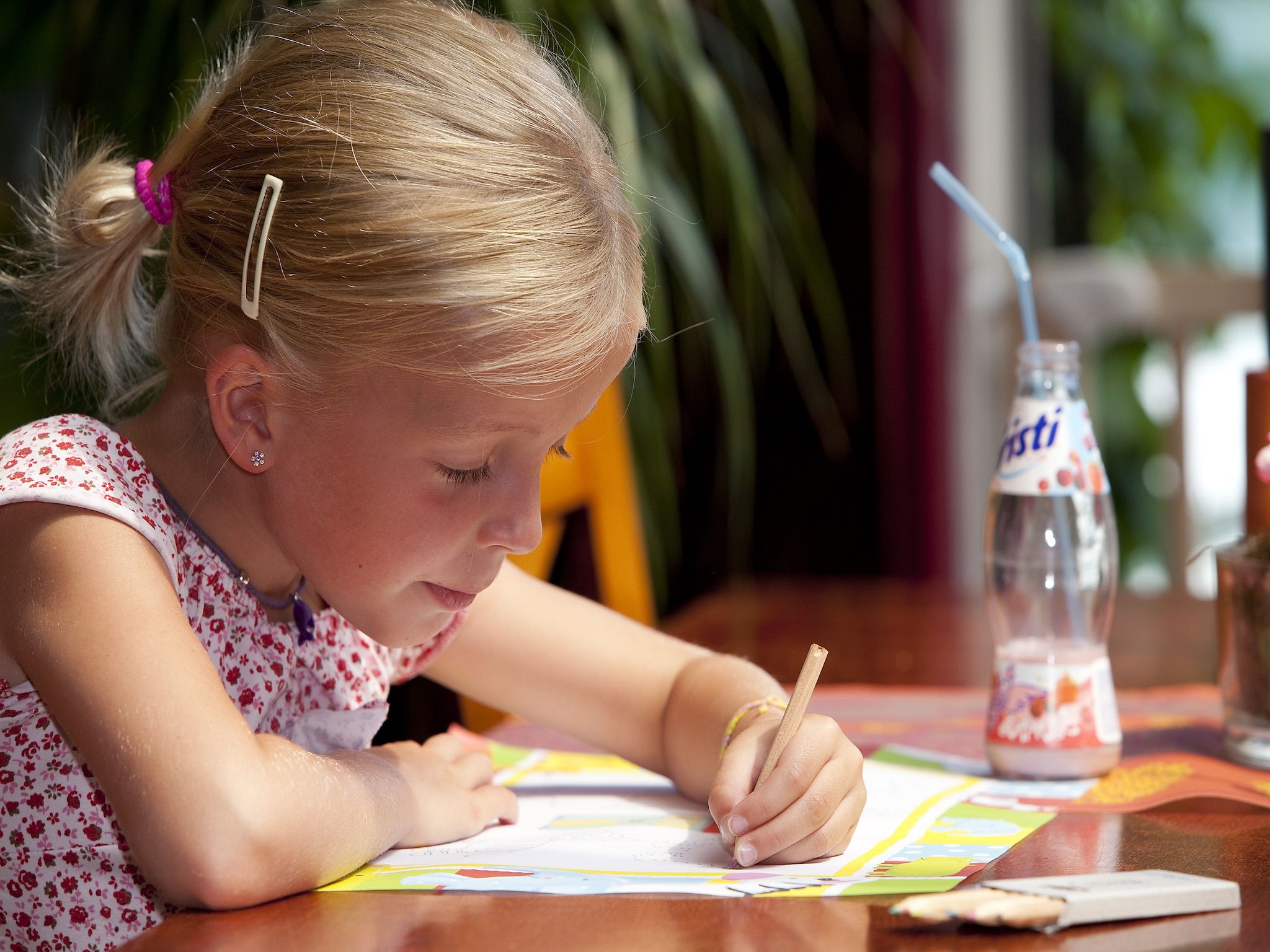 Parkfaciliteiten bij Vakantiepark de Berkenhorst 12 in Kootwijk