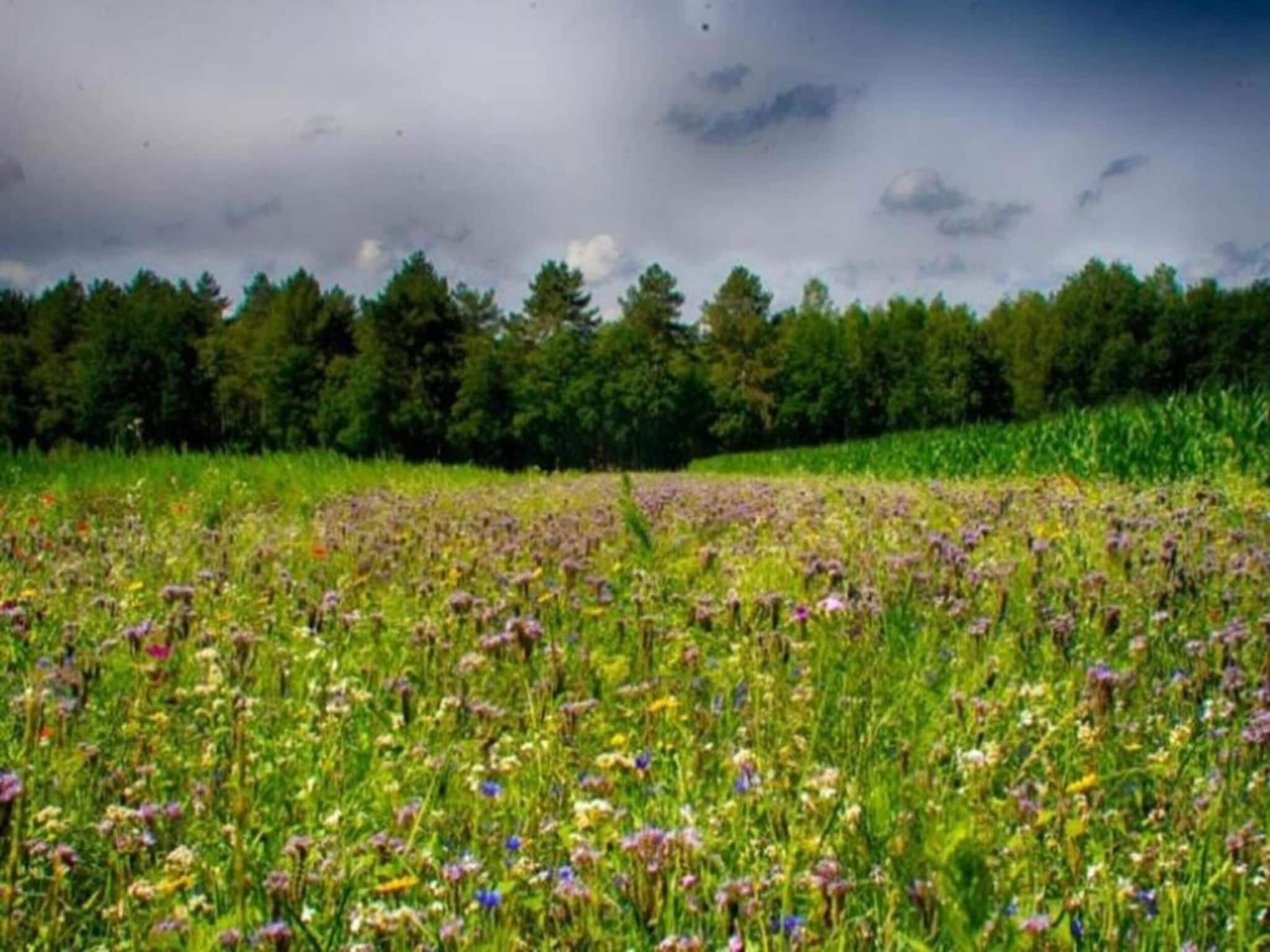 De omgeving van Vakantiepark Schaijk 5 in Schaijk