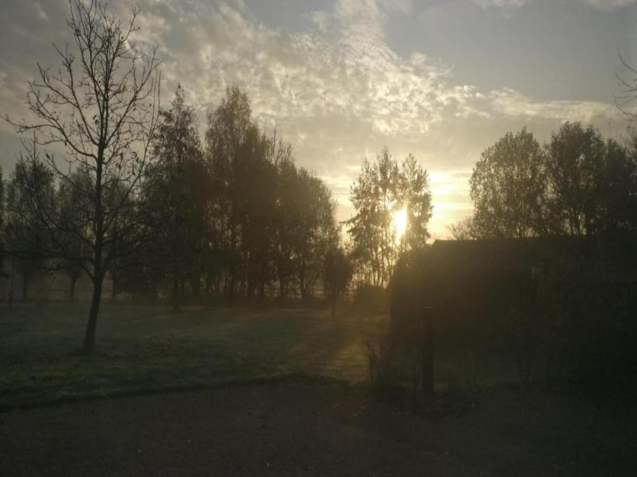 De omgeving van Vakantiepark De Heihorsten 4 in Someren