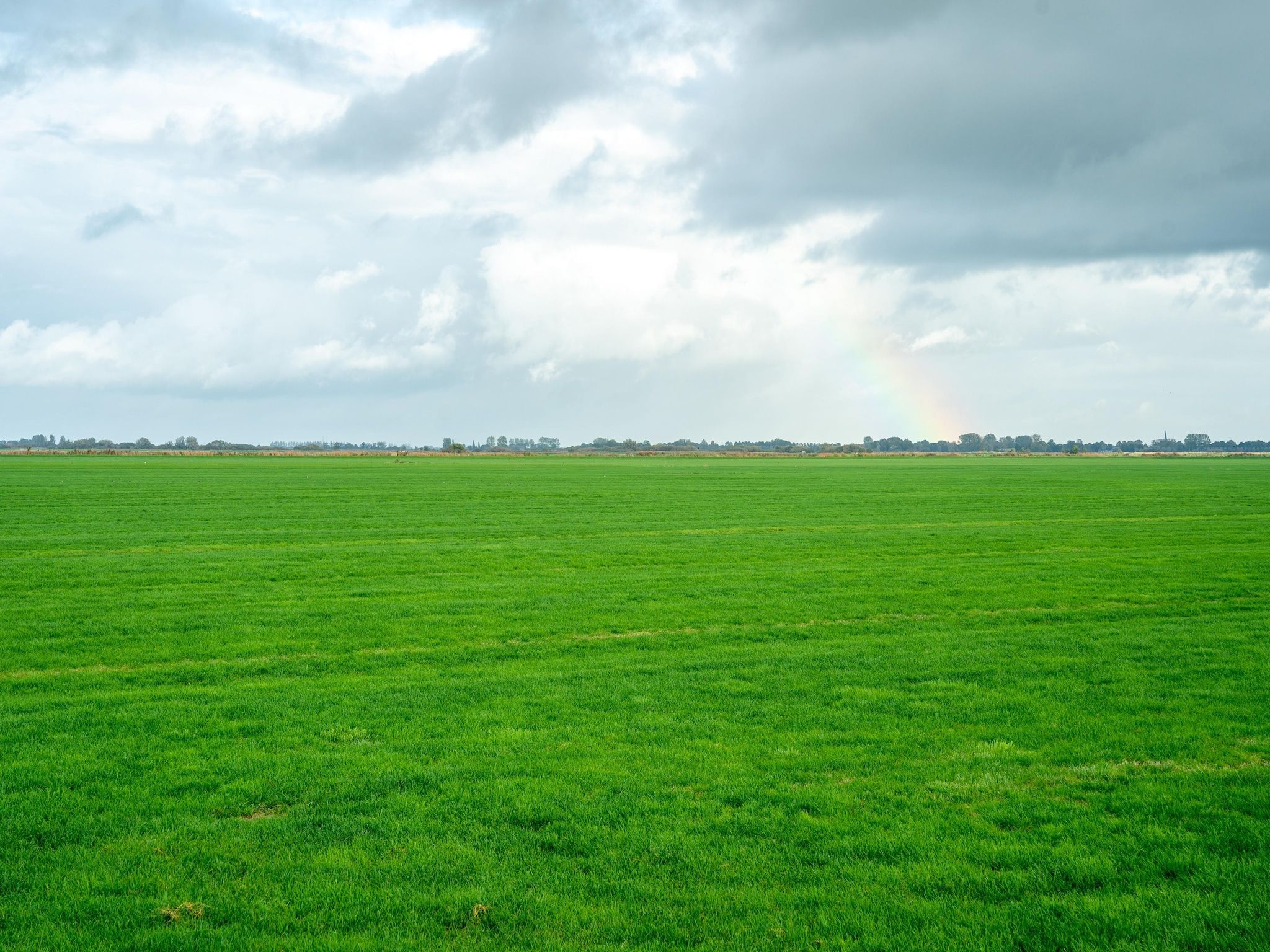 De omgeving van Vakantiehuis Heeg in Heeg