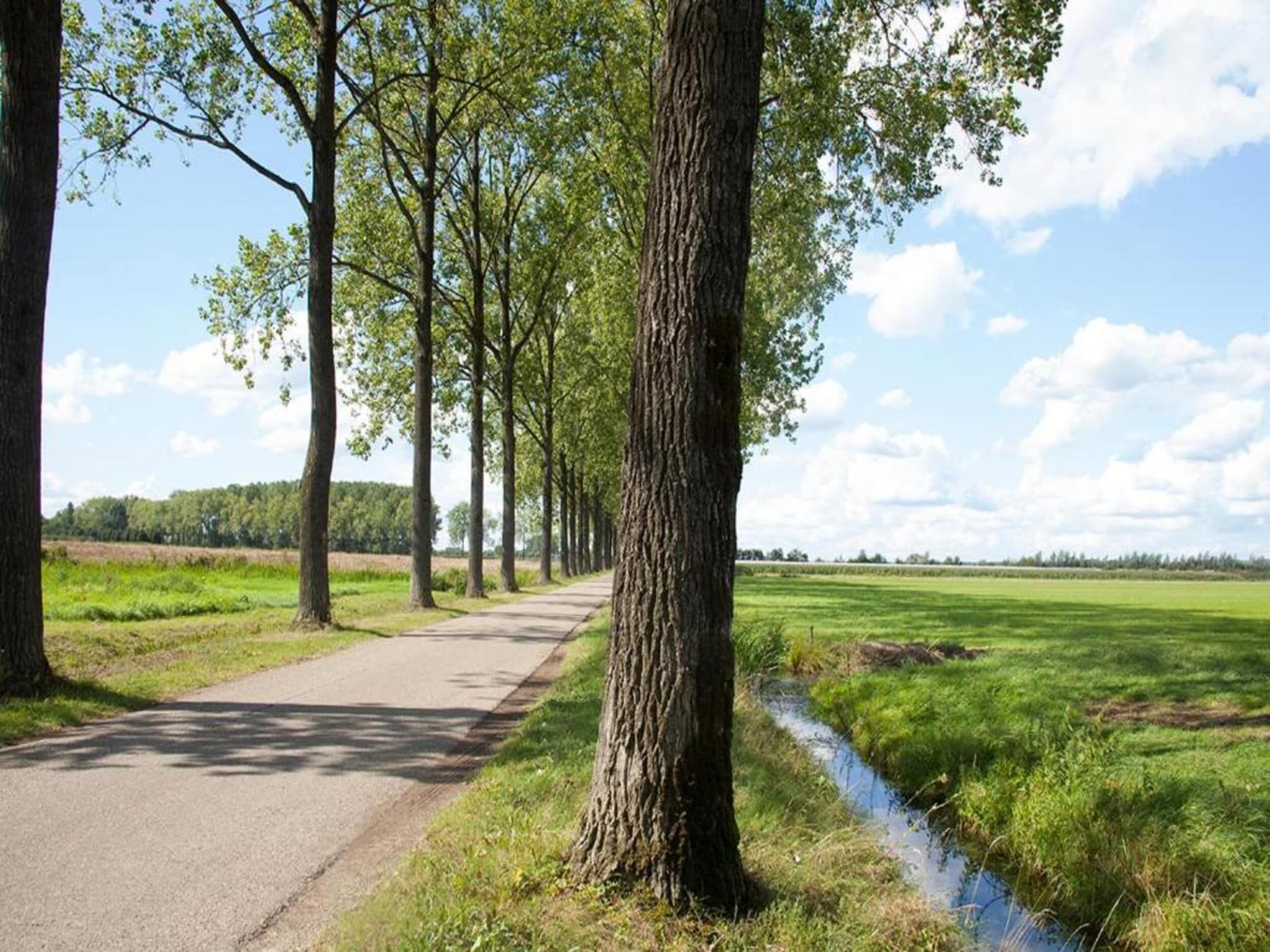 De omgeving van MarinaPark Bad Nederrijn 4 in Maurik