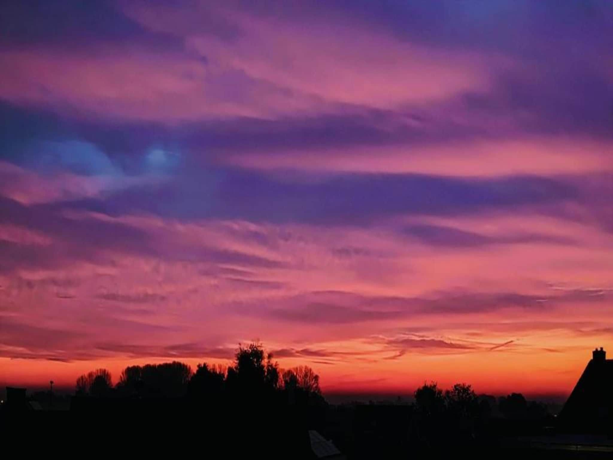 De omgeving van MarinaPark Bad Nederrijn 5 in Maurik