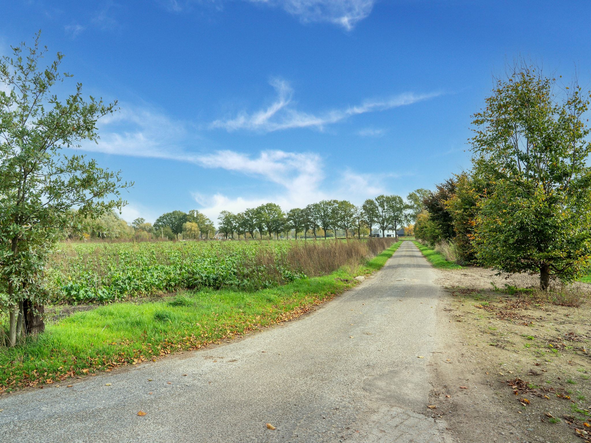 Genieten in Silvolde II in Silvolde - Foto 34 van 40